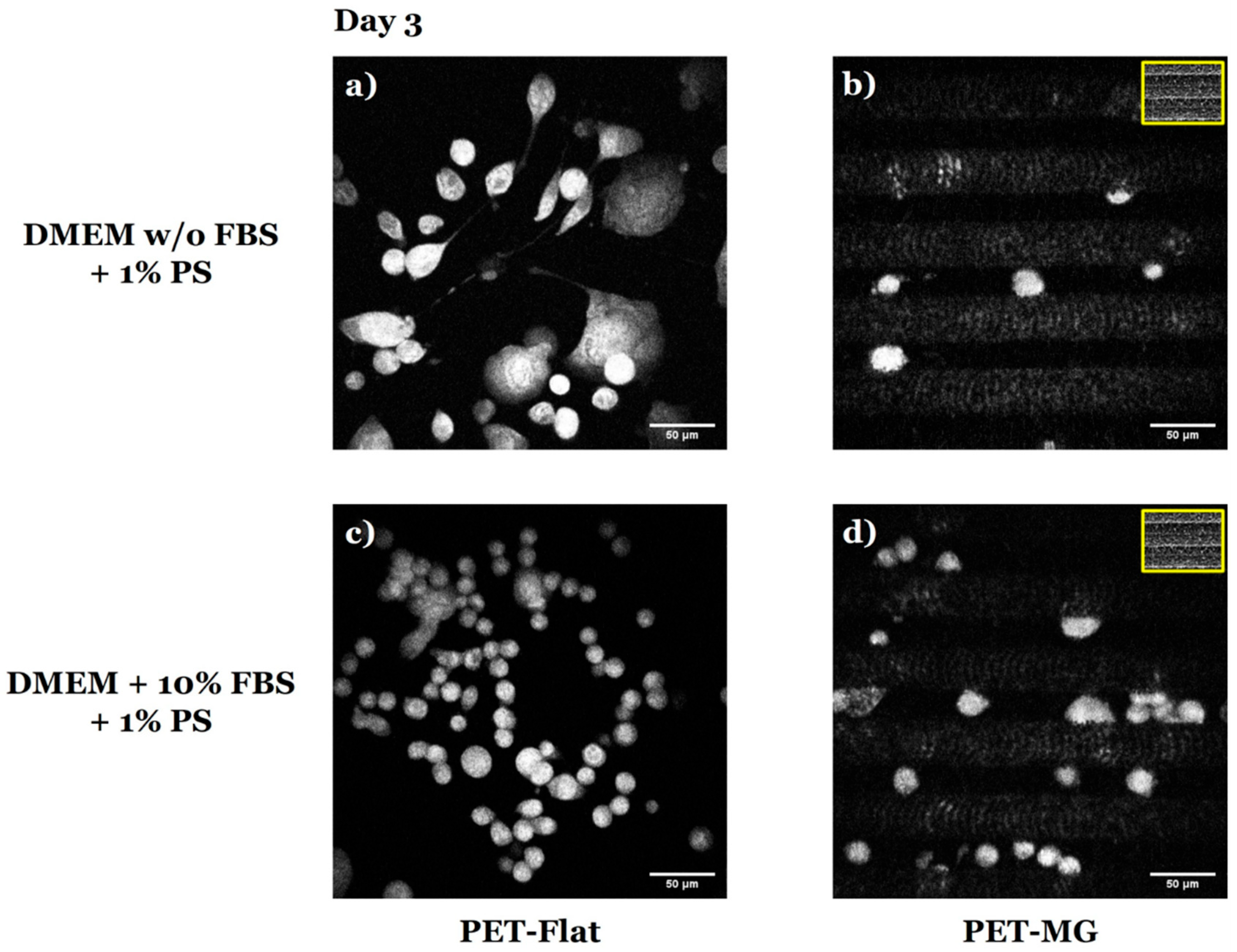 Micromachines 16 00341 g007