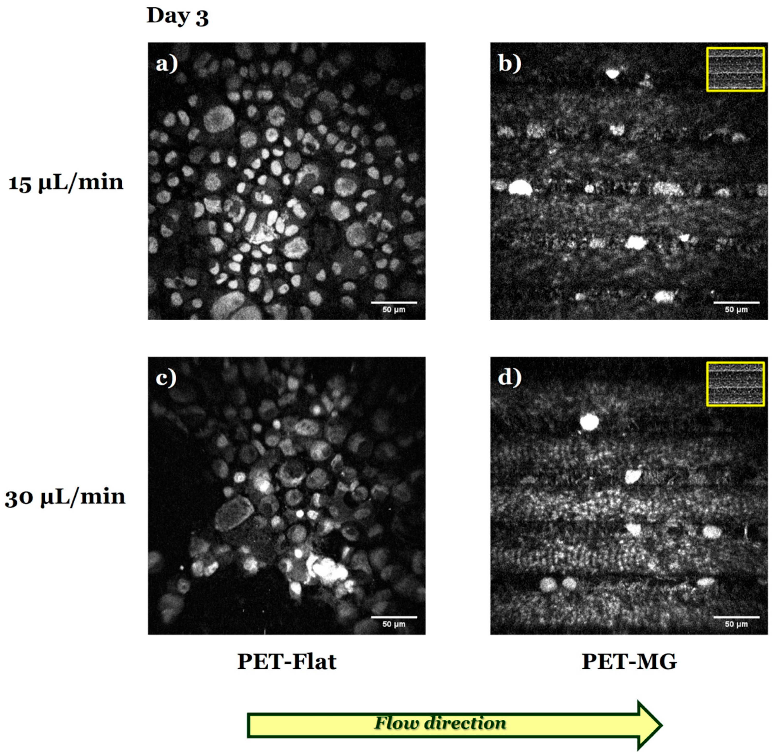 Micromachines 16 00341 g010