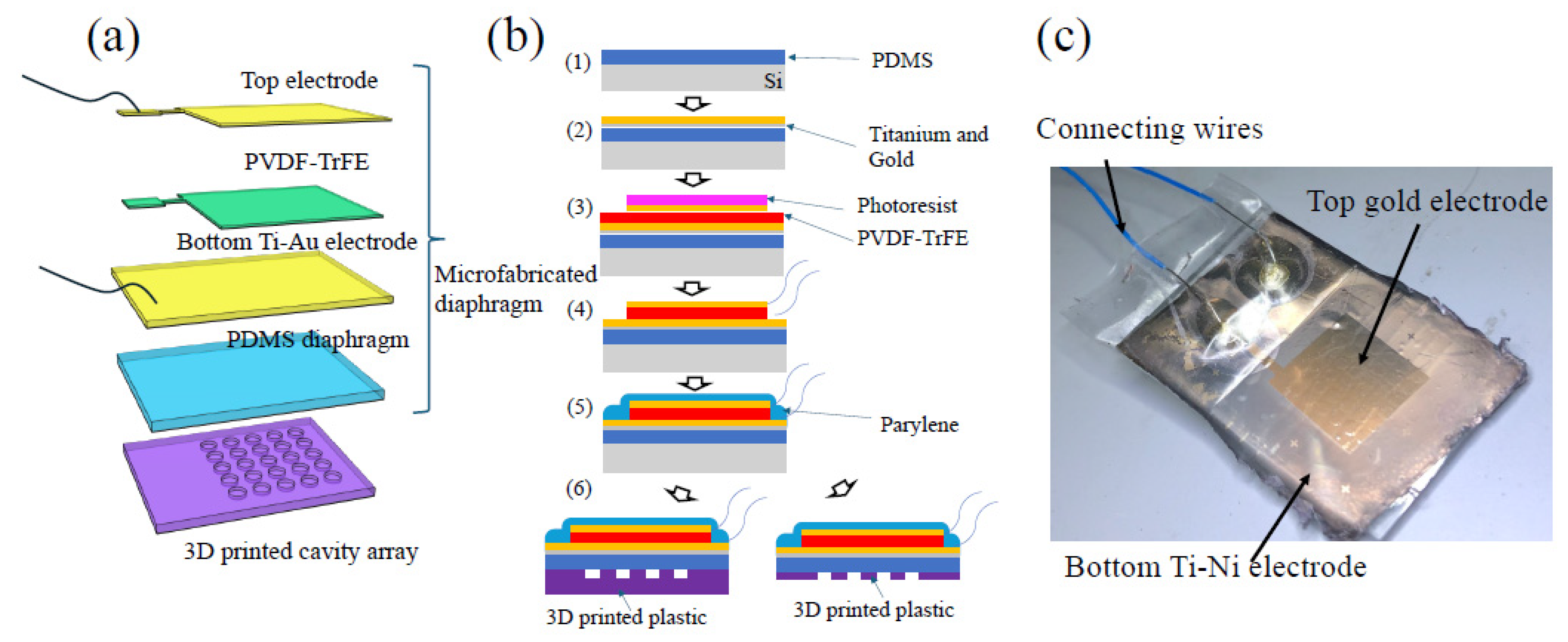 Micromachines 16 00362 g002