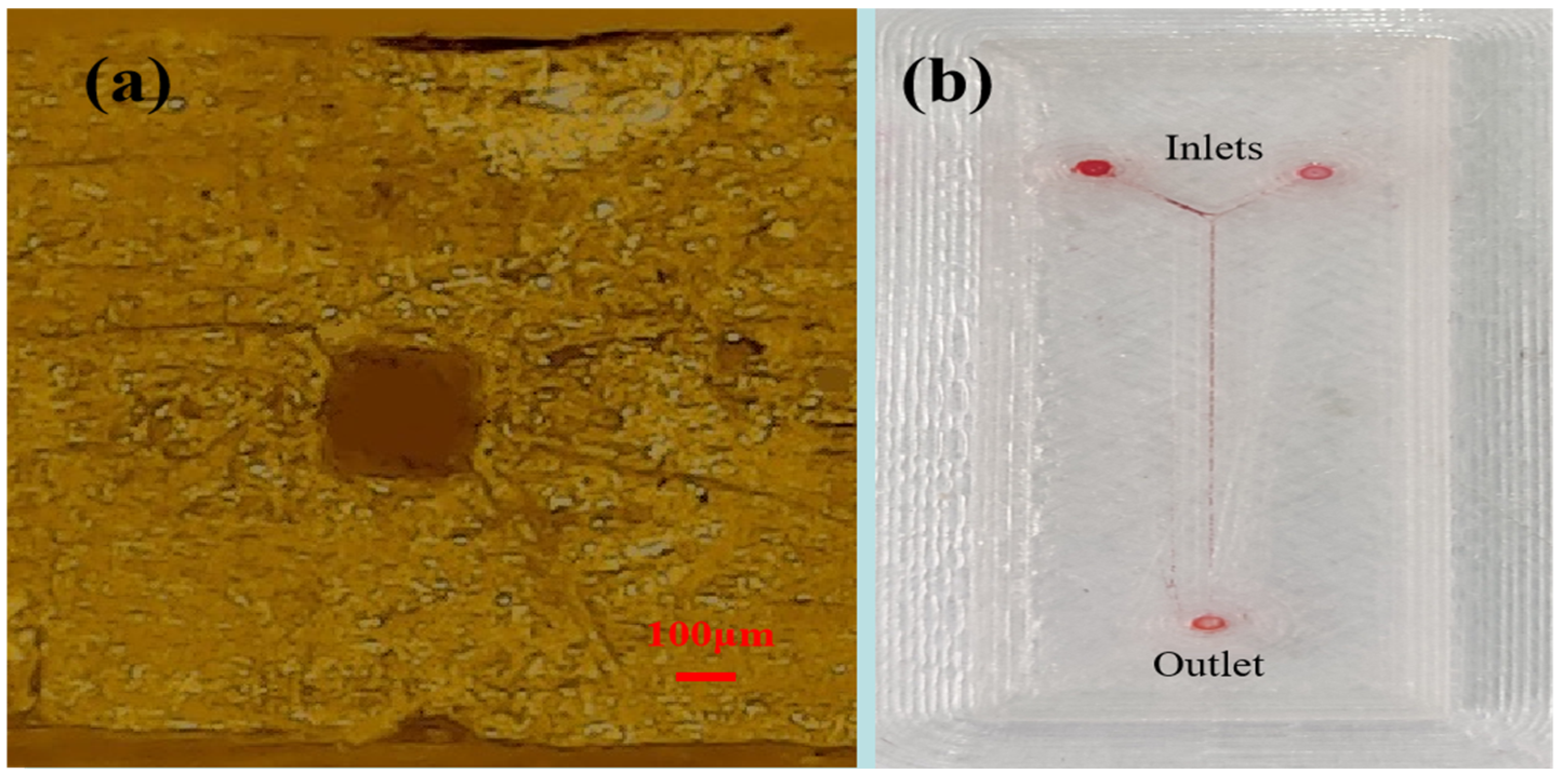 Micromachines 16 00385 g005