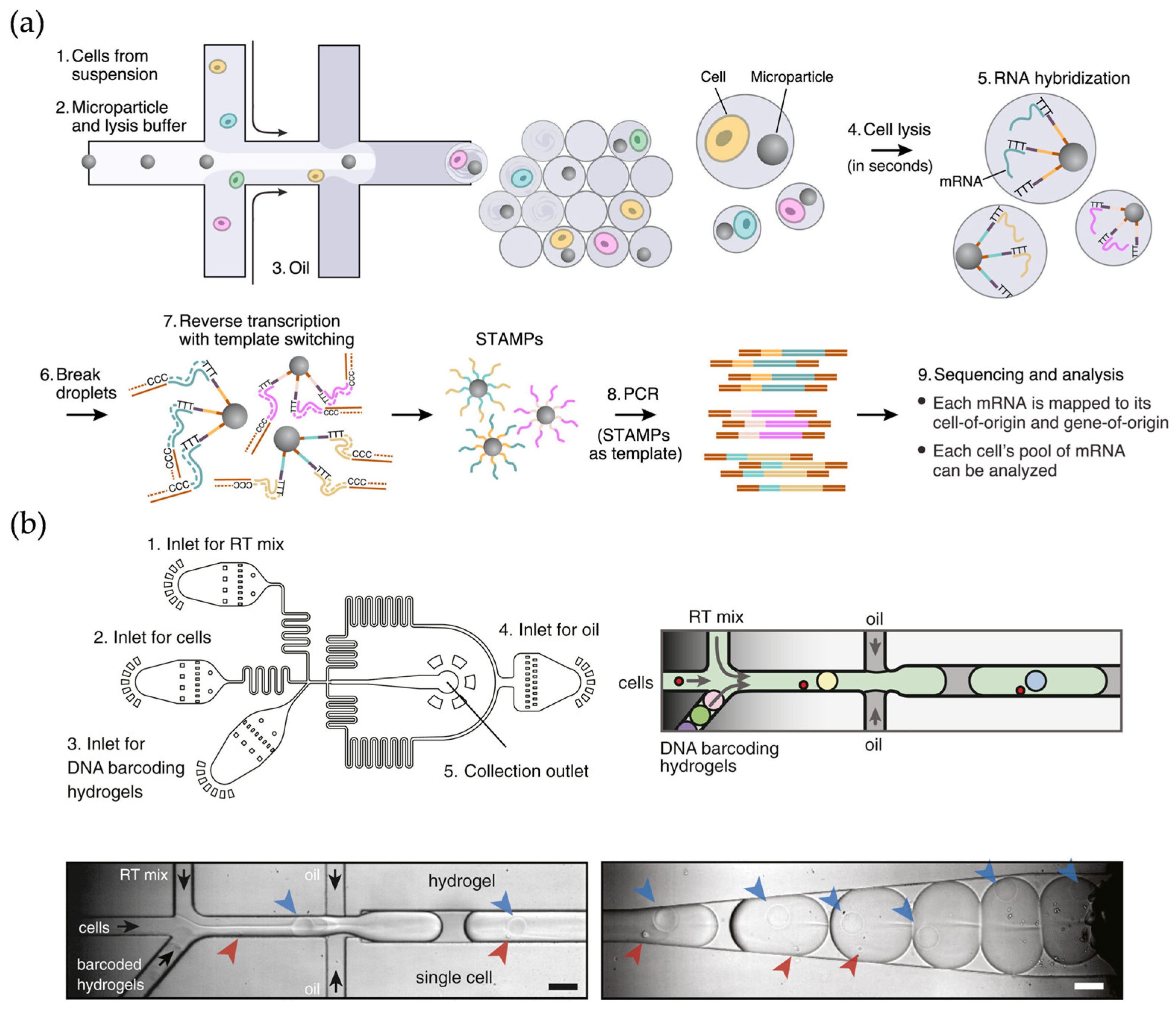 Micromachines 16 00426 g001