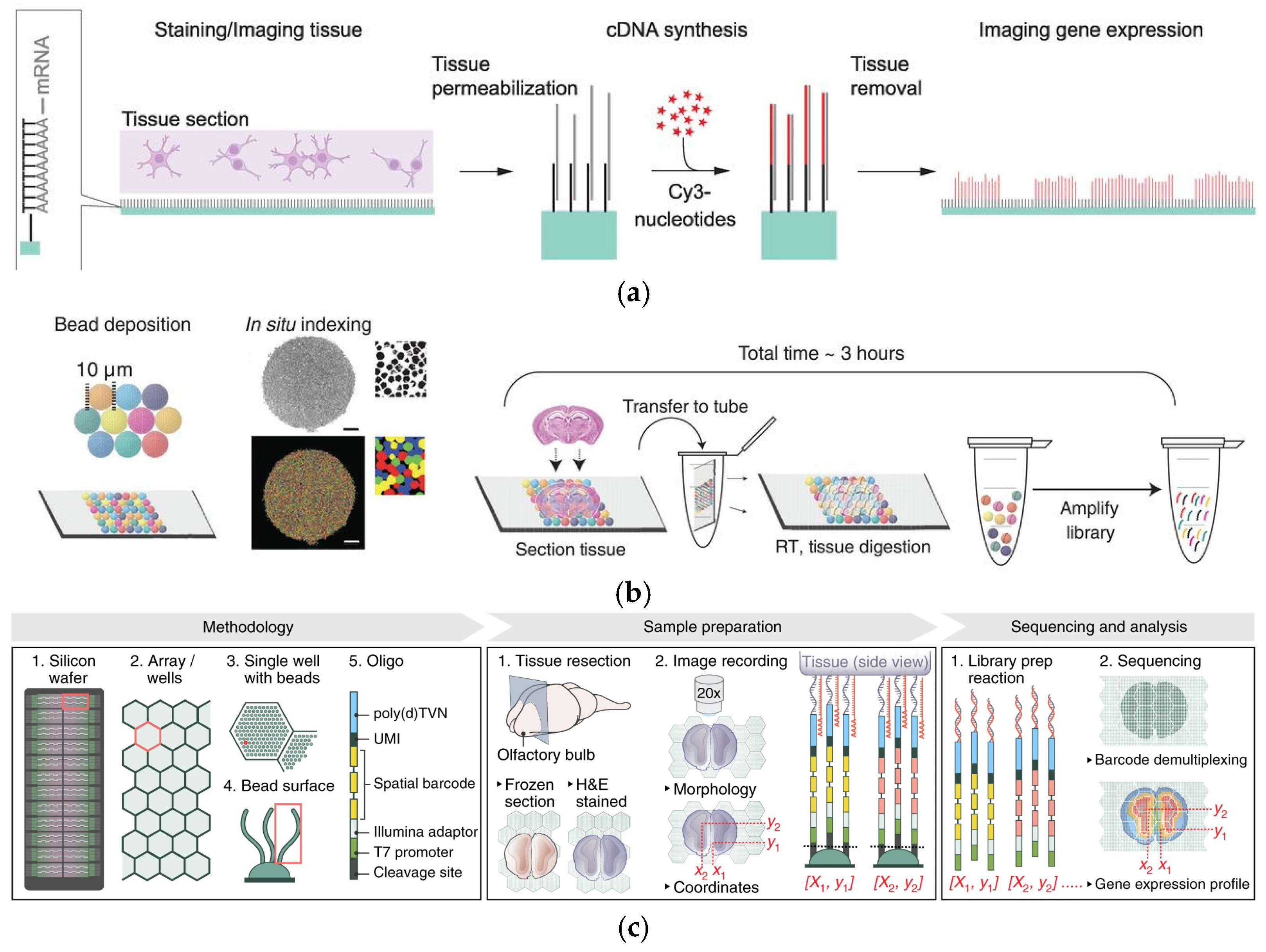 Micromachines 16 00426 g005