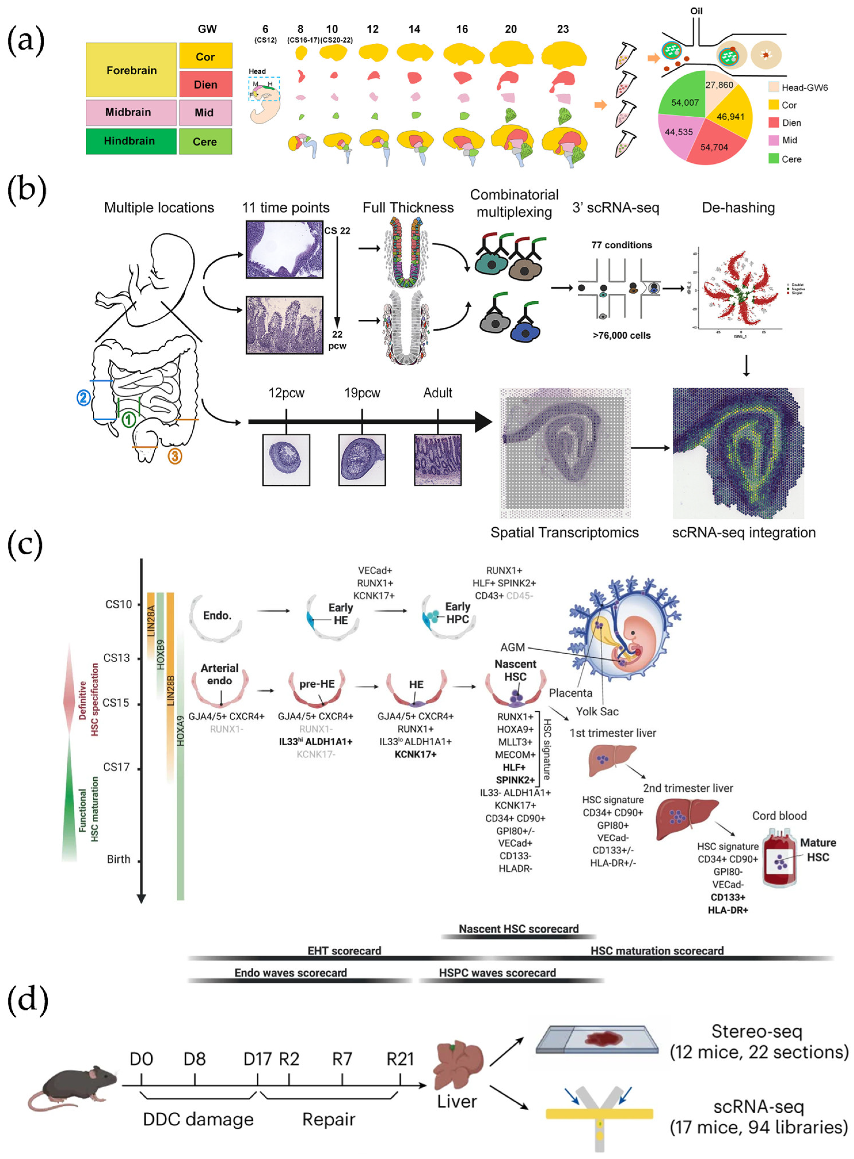 Micromachines 16 00426 g007