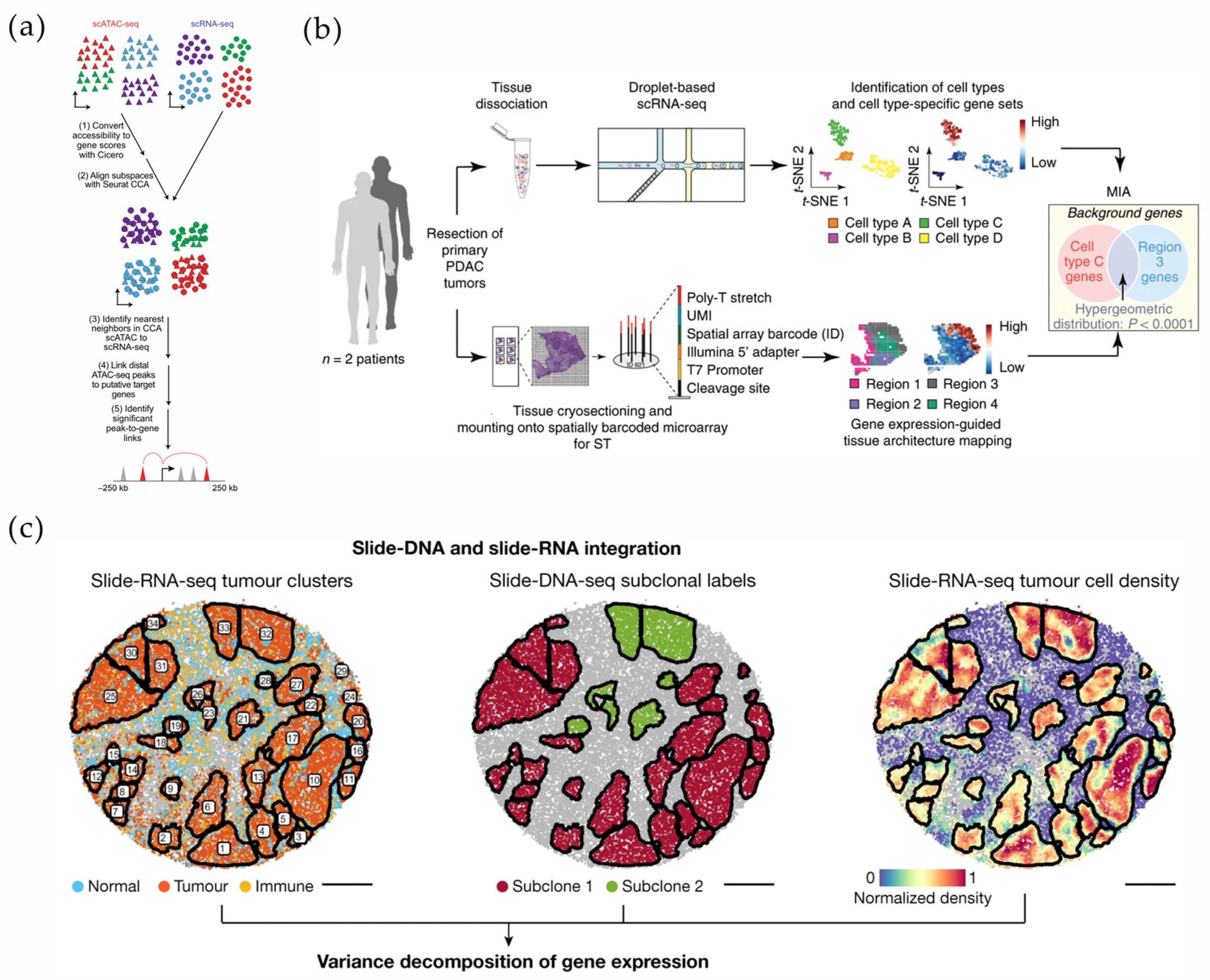Micromachines 16 00426 g008