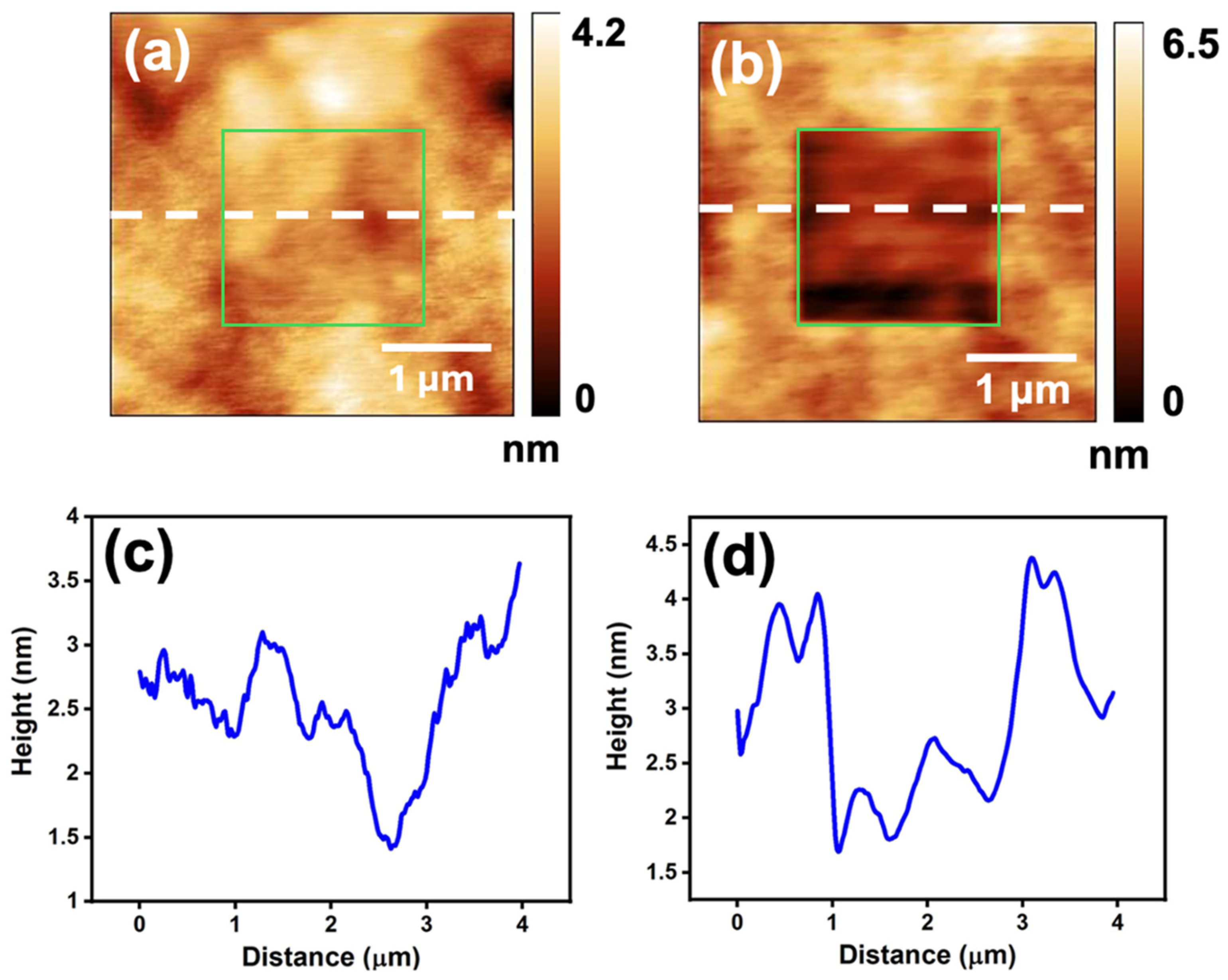 Micromachines 16 00427 g005