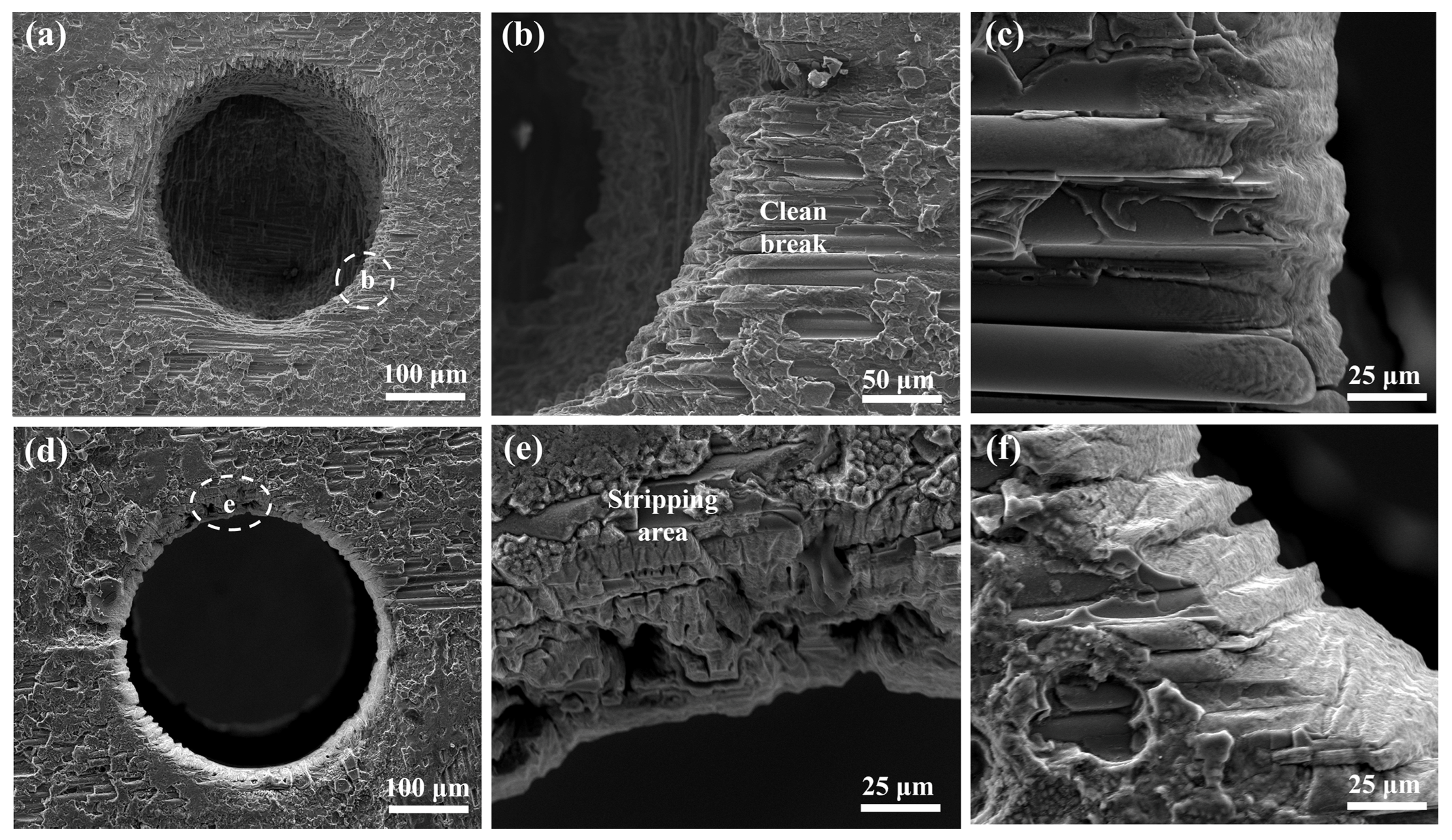 Micromachines 16 00430 g008