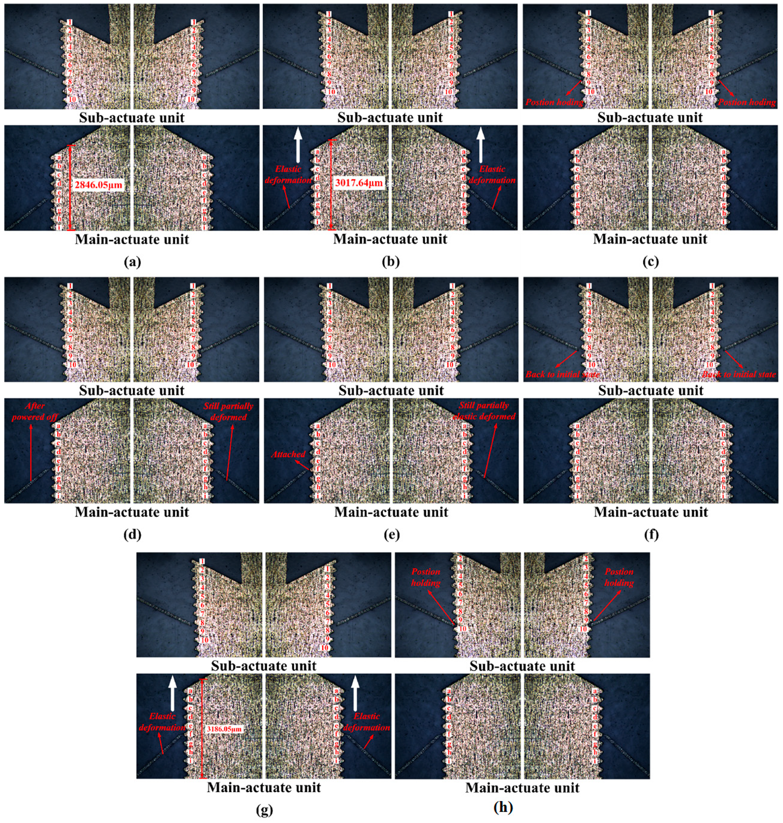 Micromachines 16 00487 g024