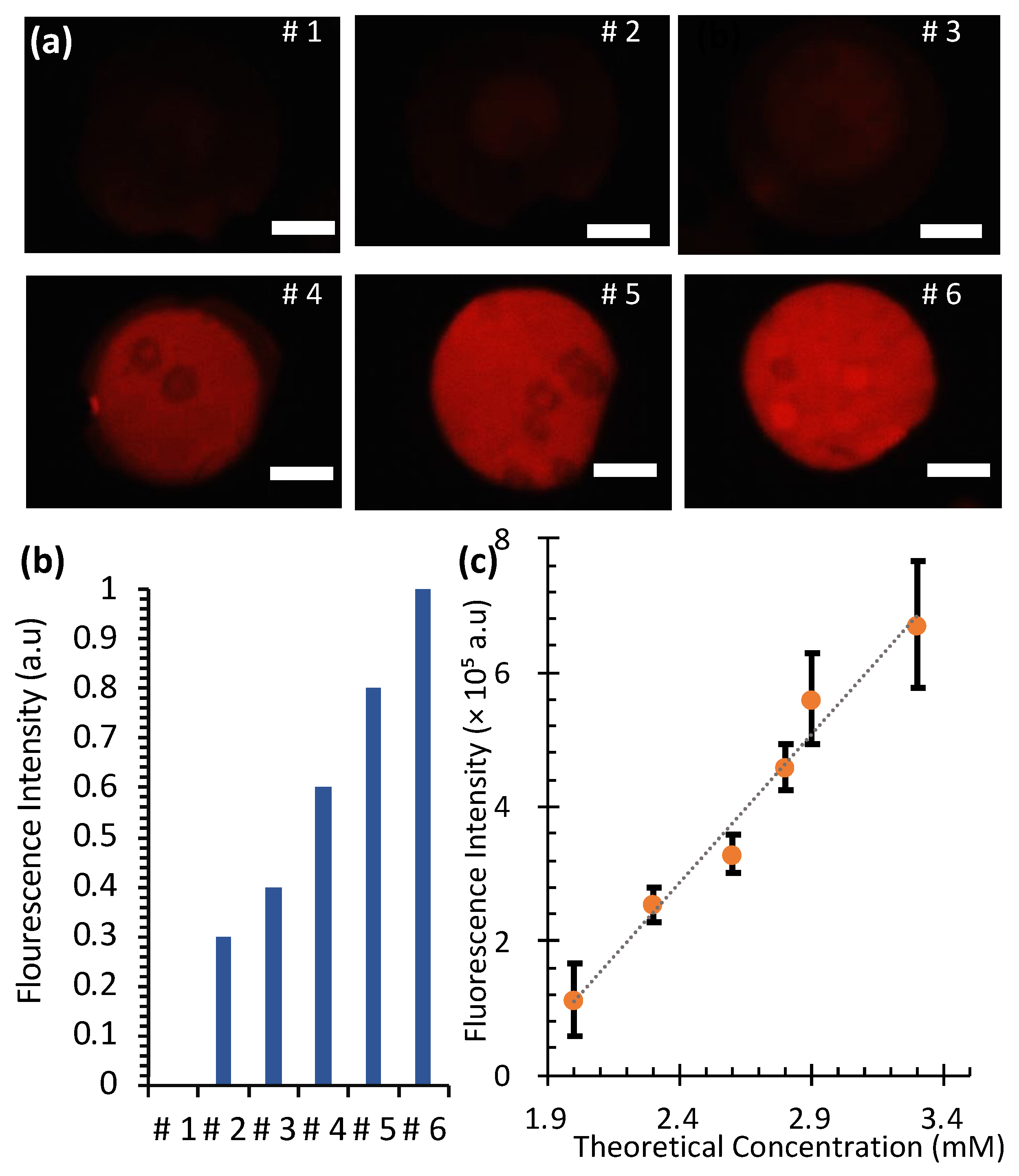 Micromachines 16 00525 g007