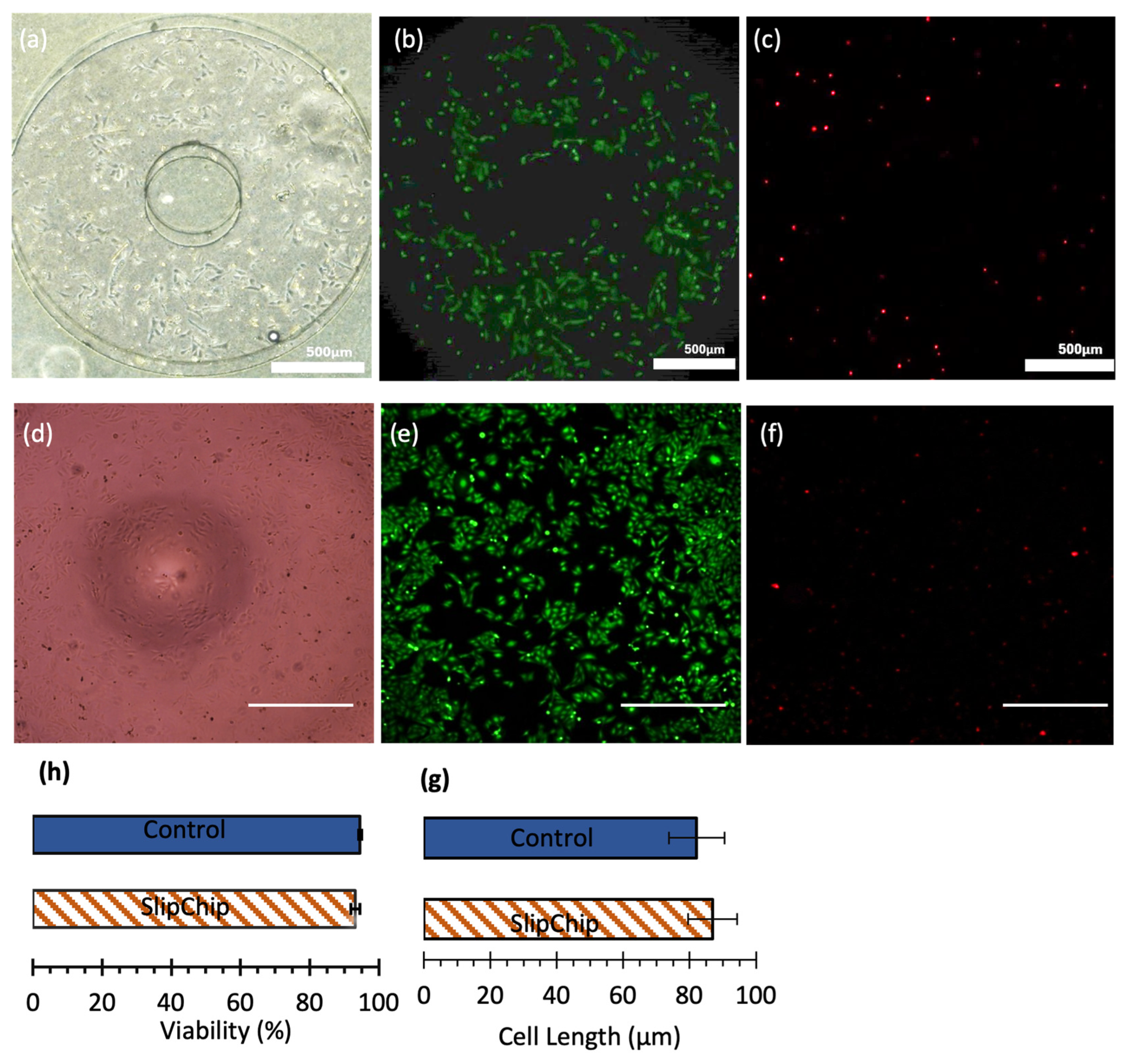 Micromachines 16 00525 g008