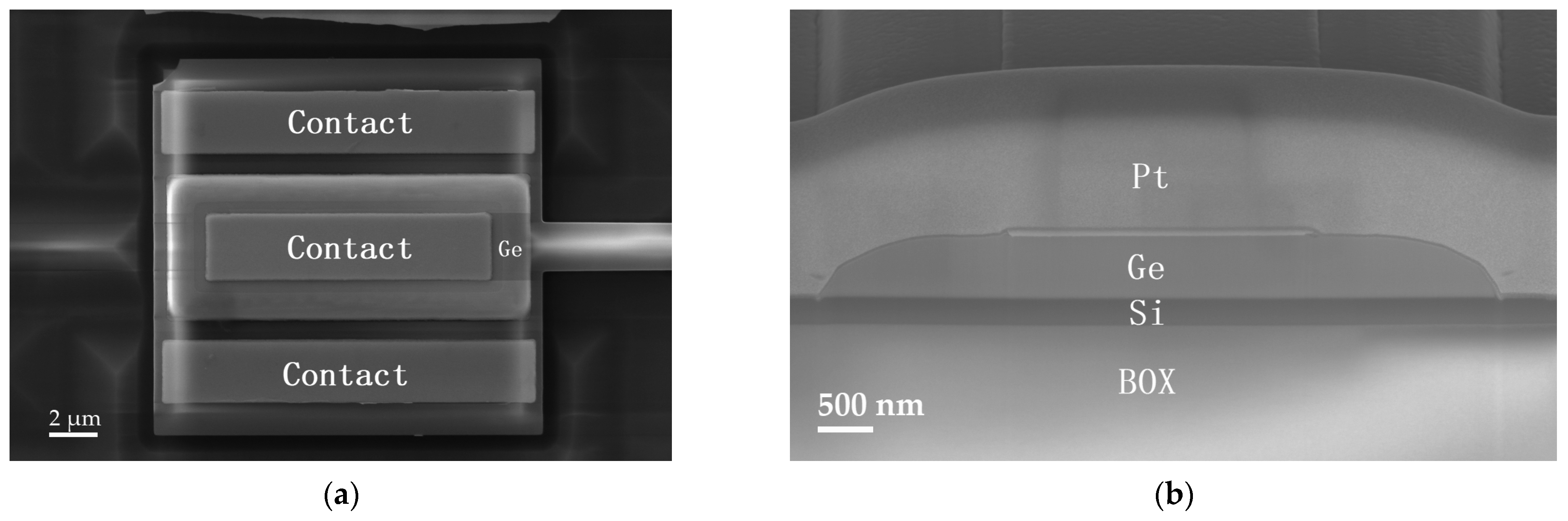 Micromachines 16 00542 g002