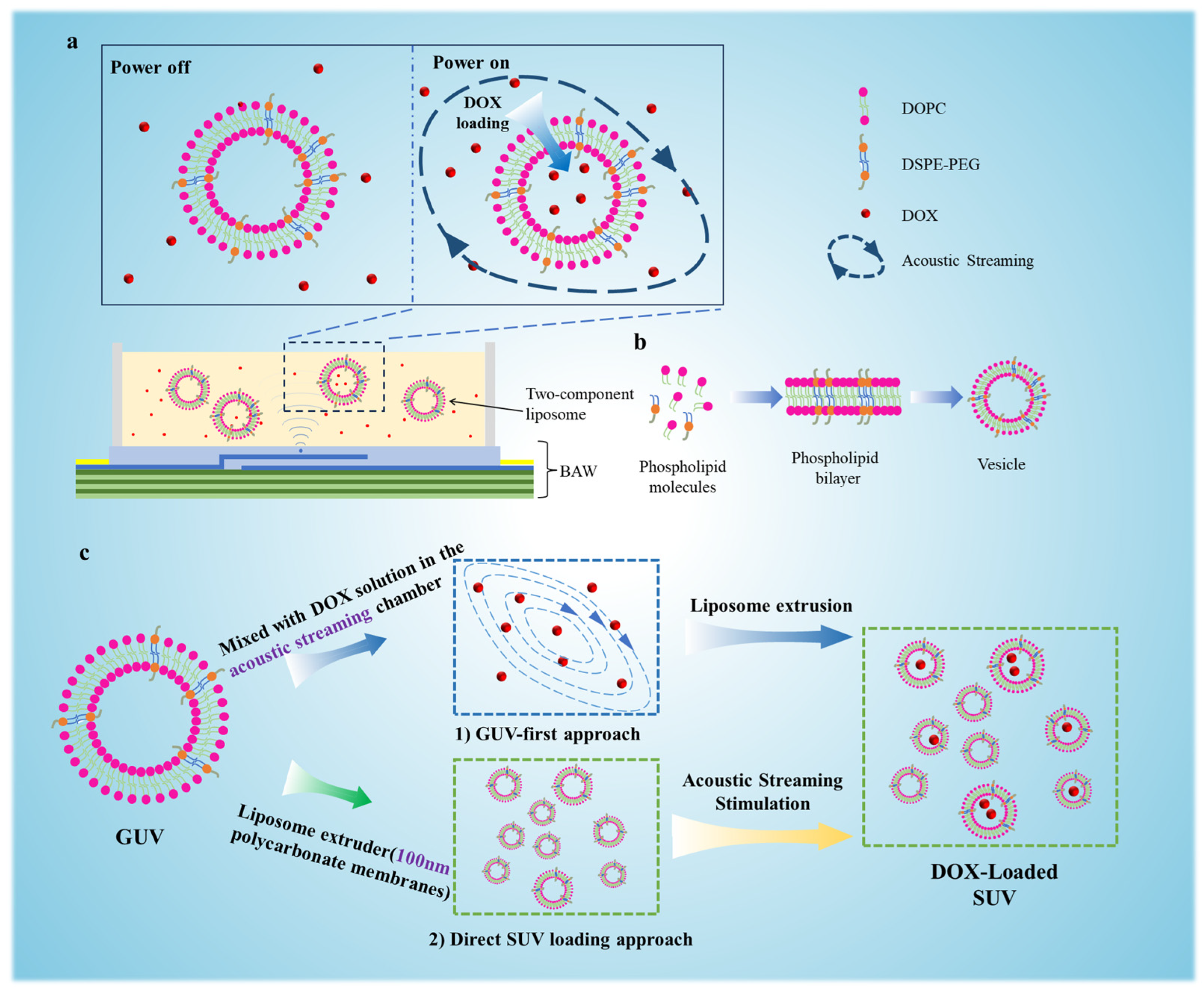 Micromachines 16 00562 g001