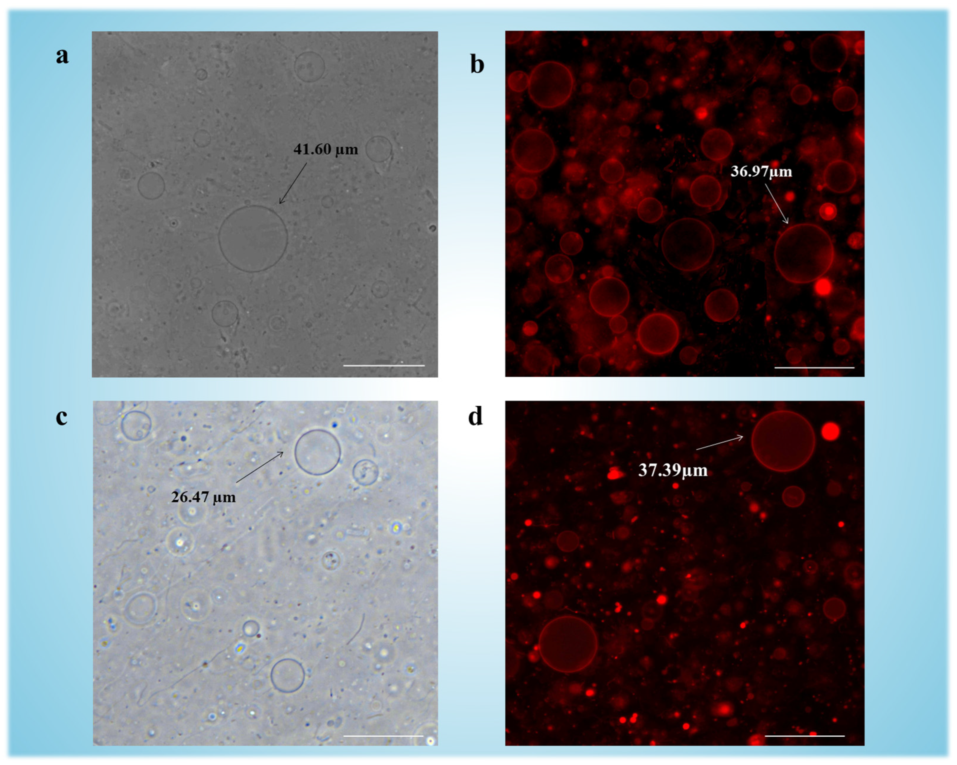 Micromachines 16 00562 g002
