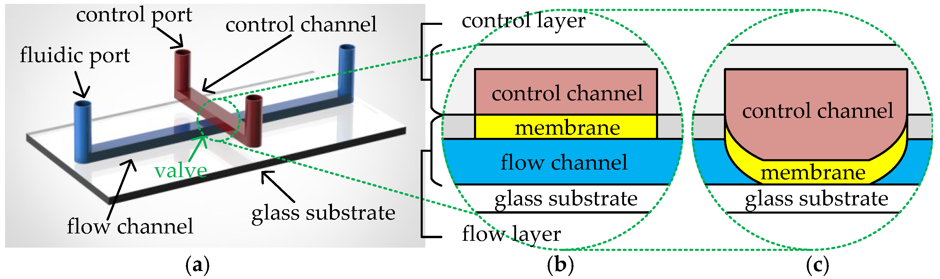 Micromachines 16 00577 g001