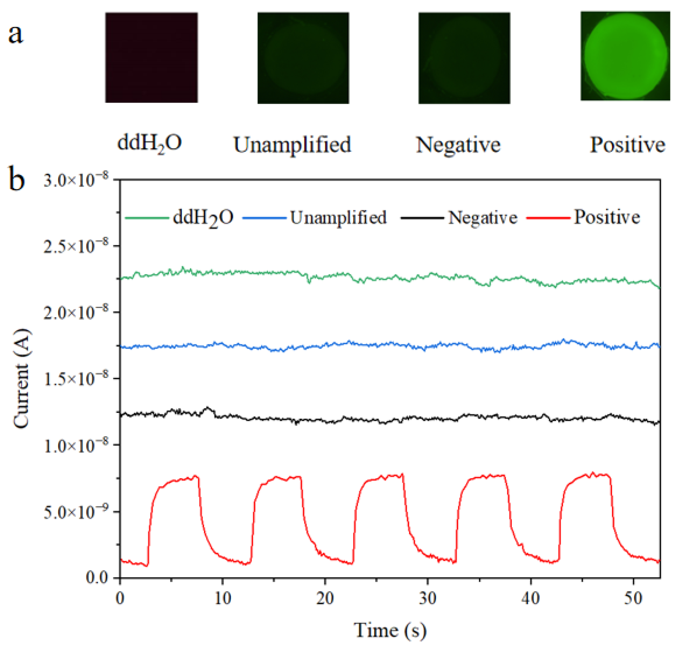 Micromachines 16 00581 g007