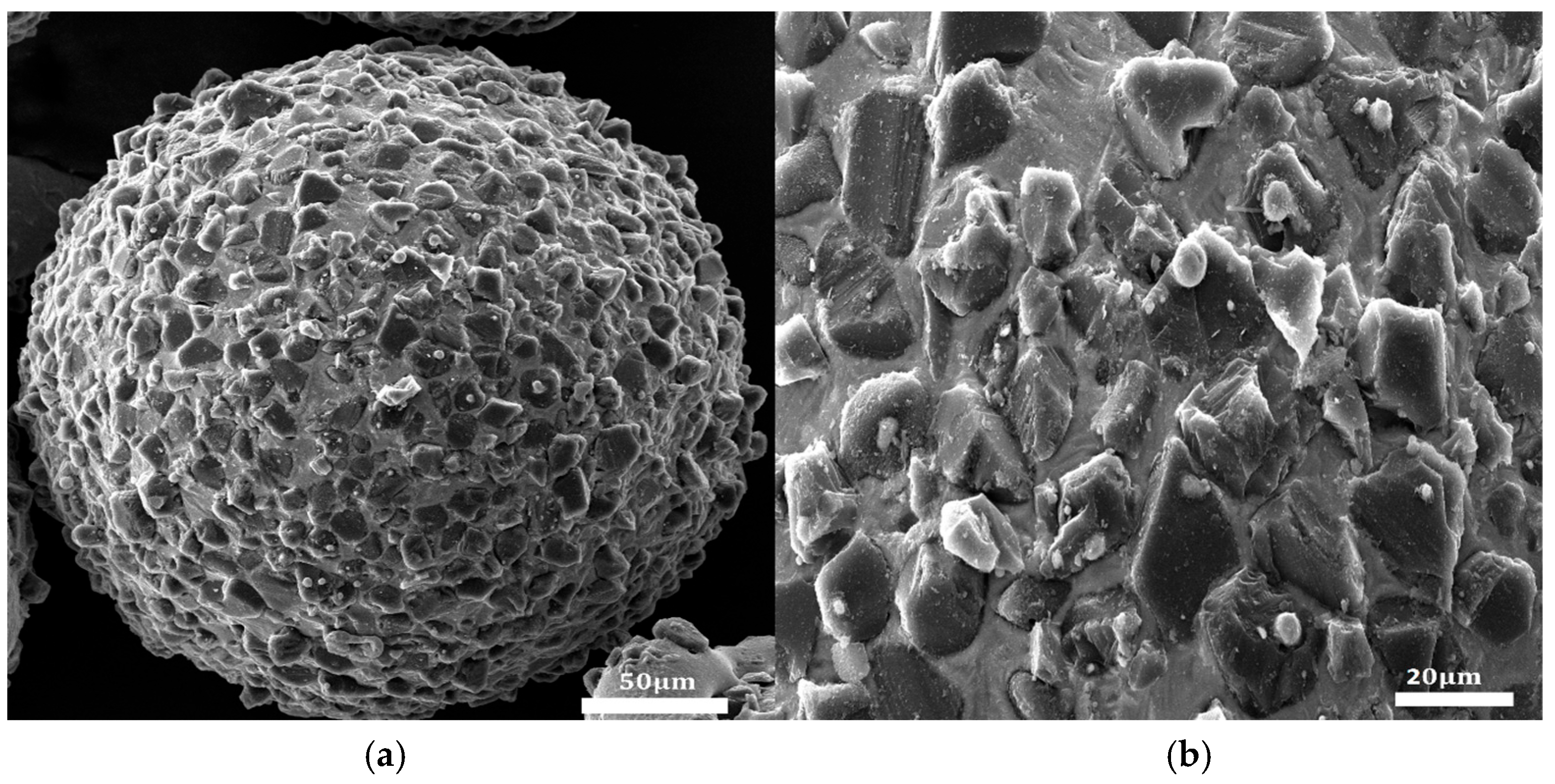 Micromachines 16 00591 g003