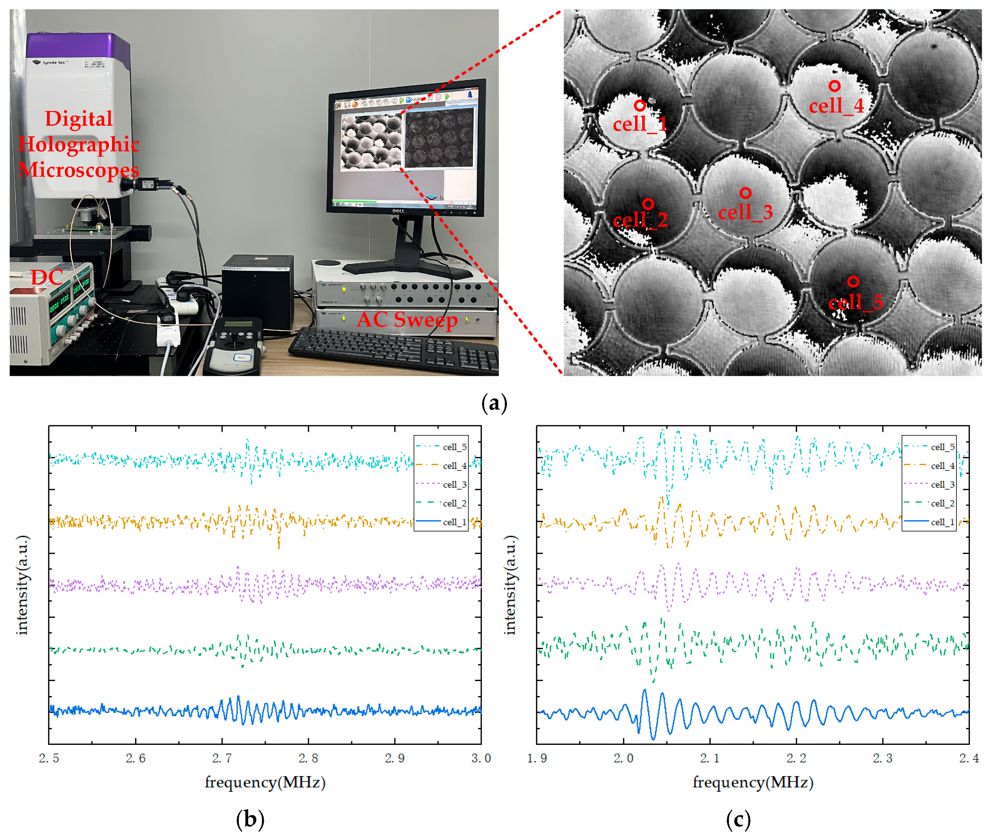 Micromachines 16 00604 g016