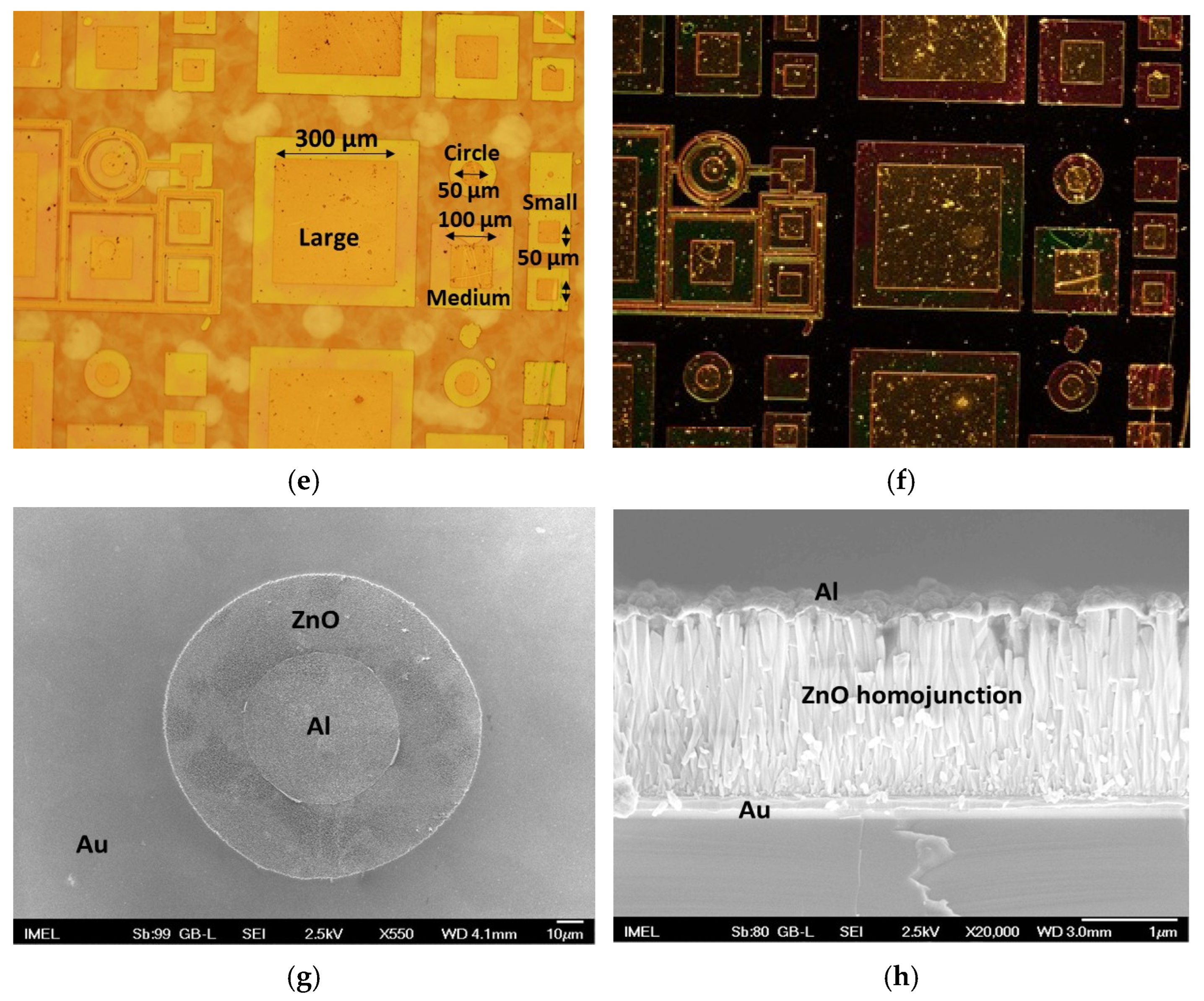 Micromachines 16 00627 g003b