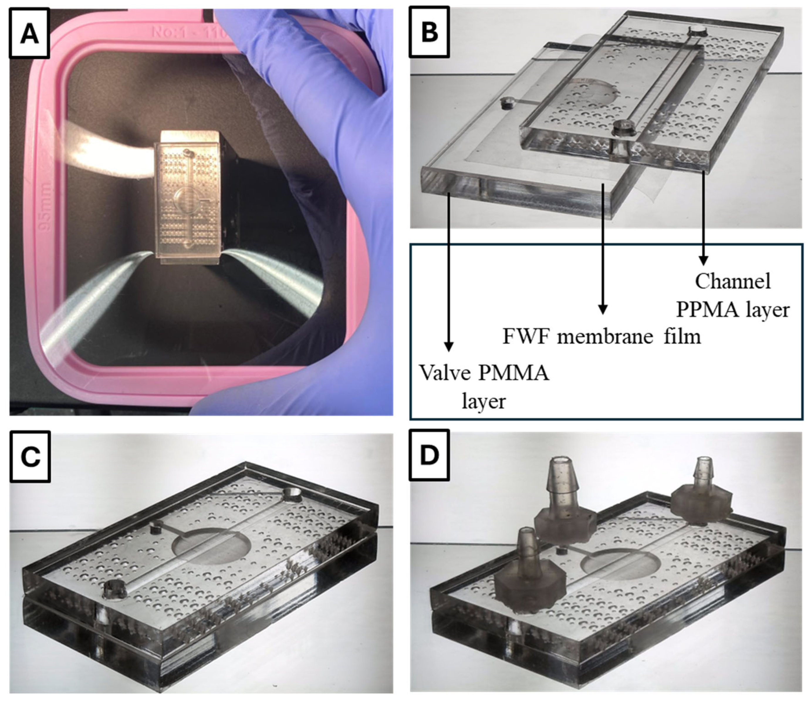 Micromachines 16 00657 g005