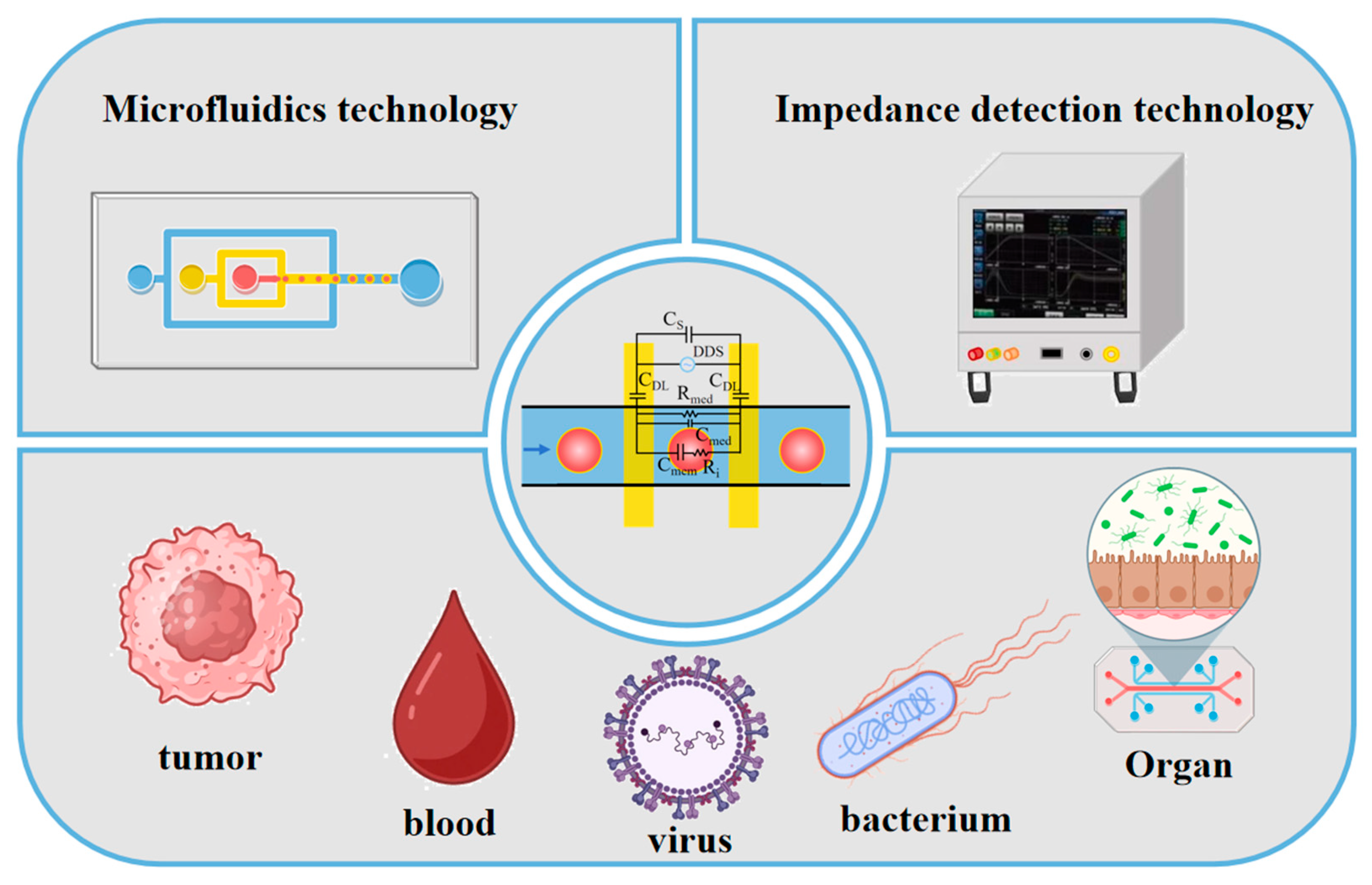 Micromachines 16 00683 g001