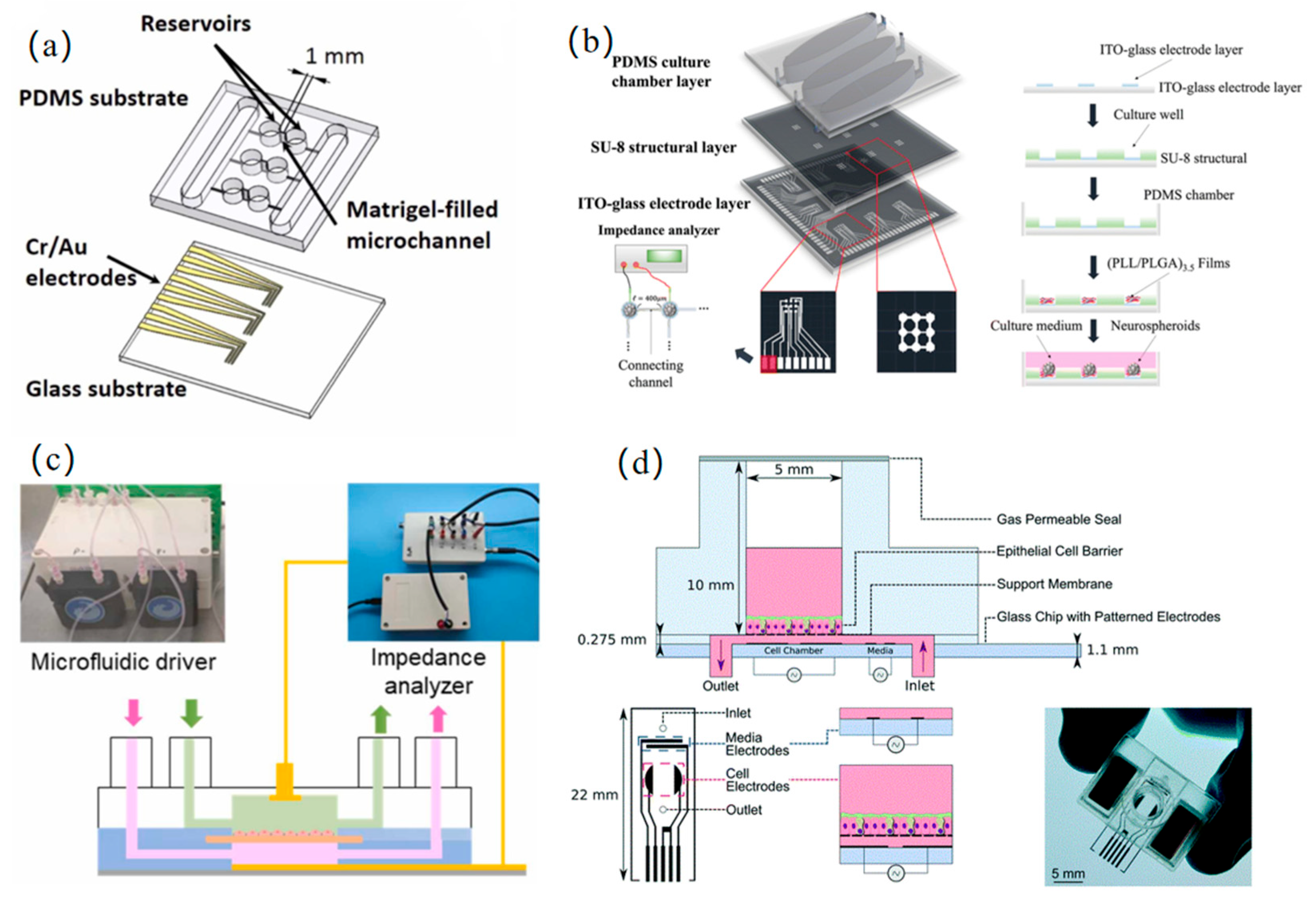 Micromachines 16 00683 g005