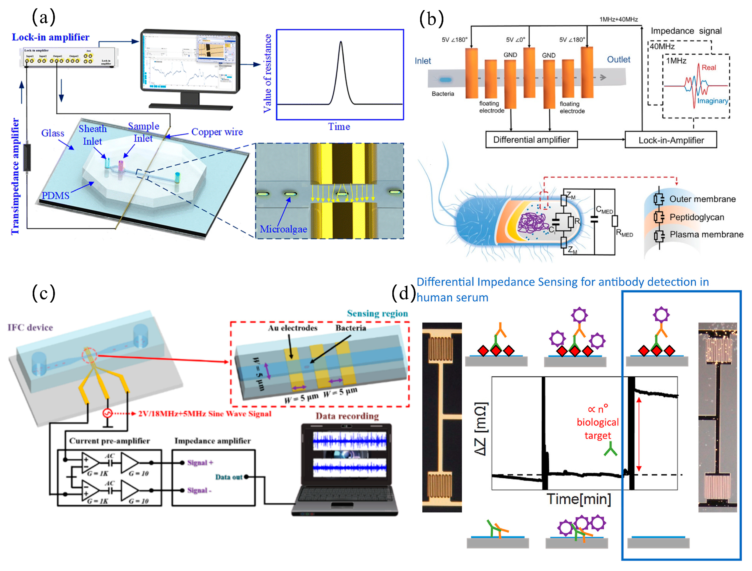 Micromachines 16 00683 g006