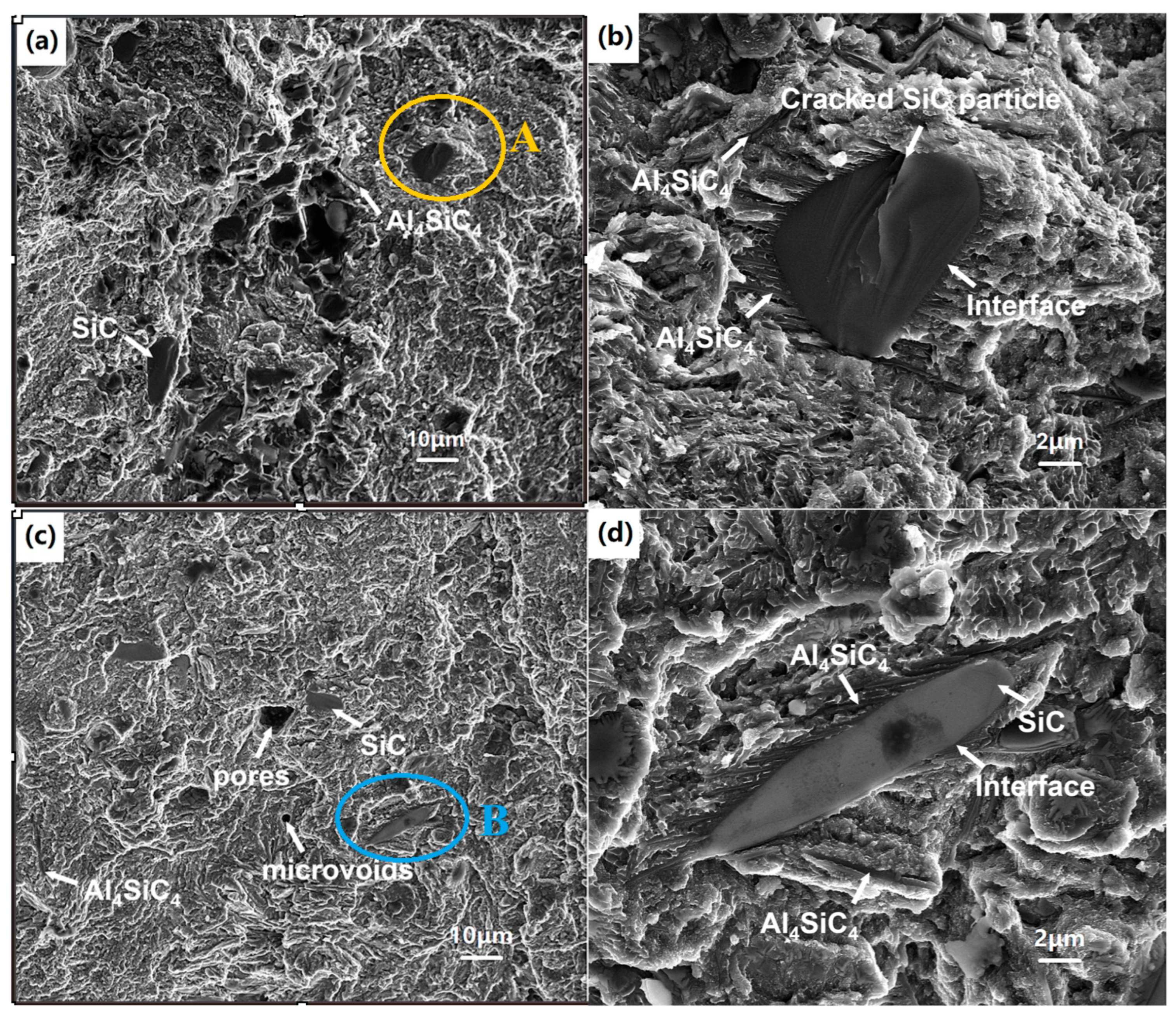 Micromachines 16 00697 g016