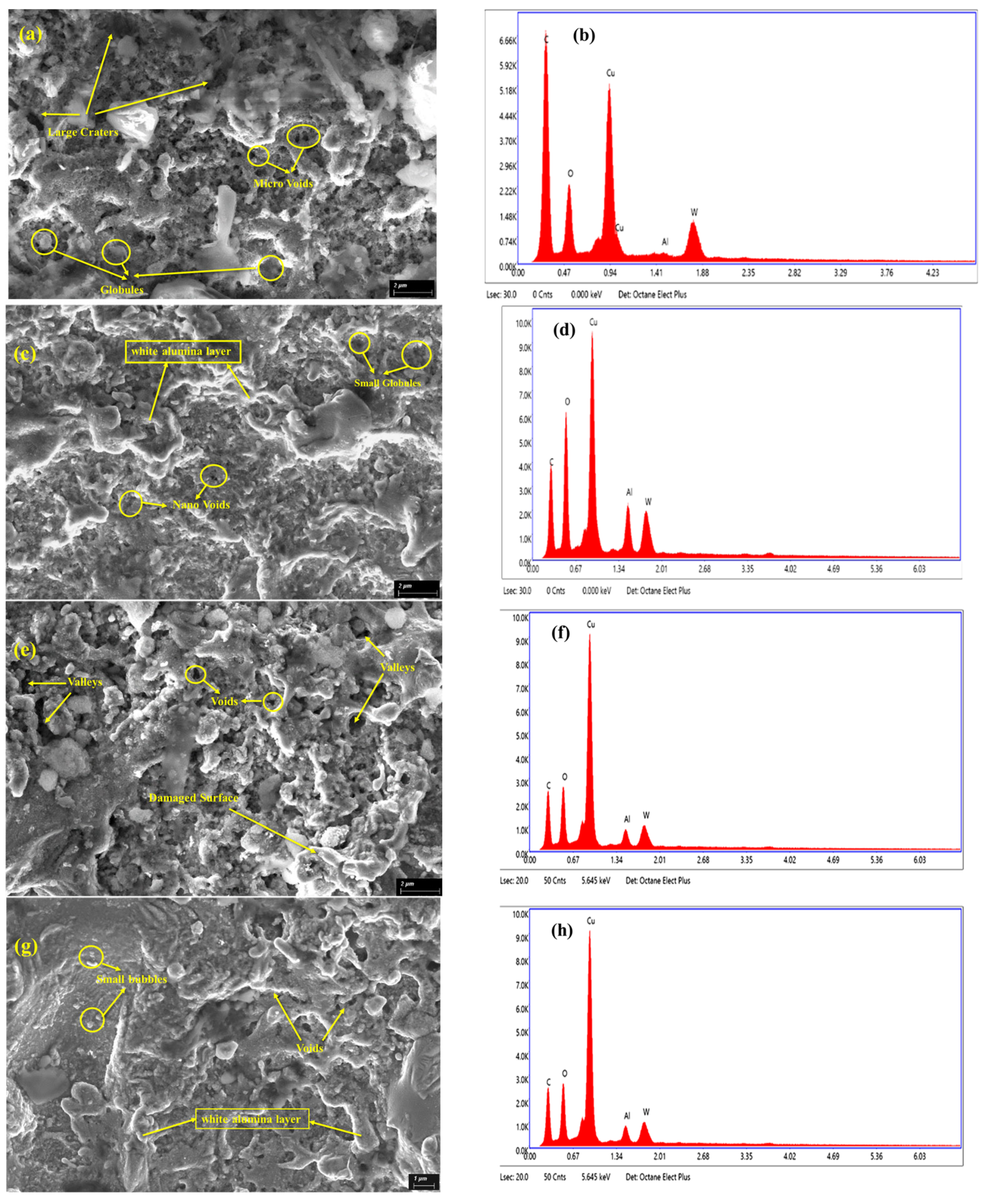 Micromachines 16 00725 g011
