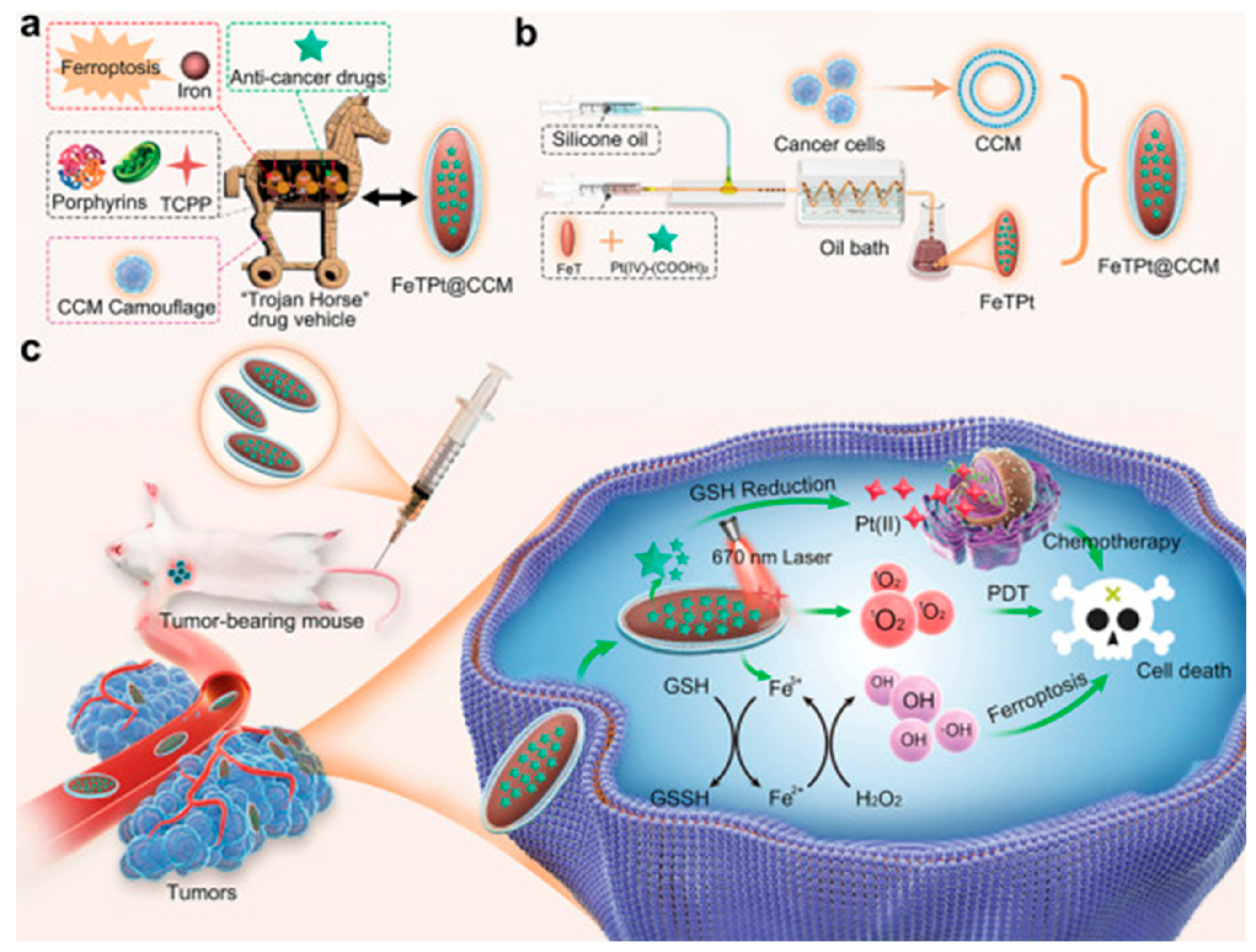 Micromachines 16 00736 g004