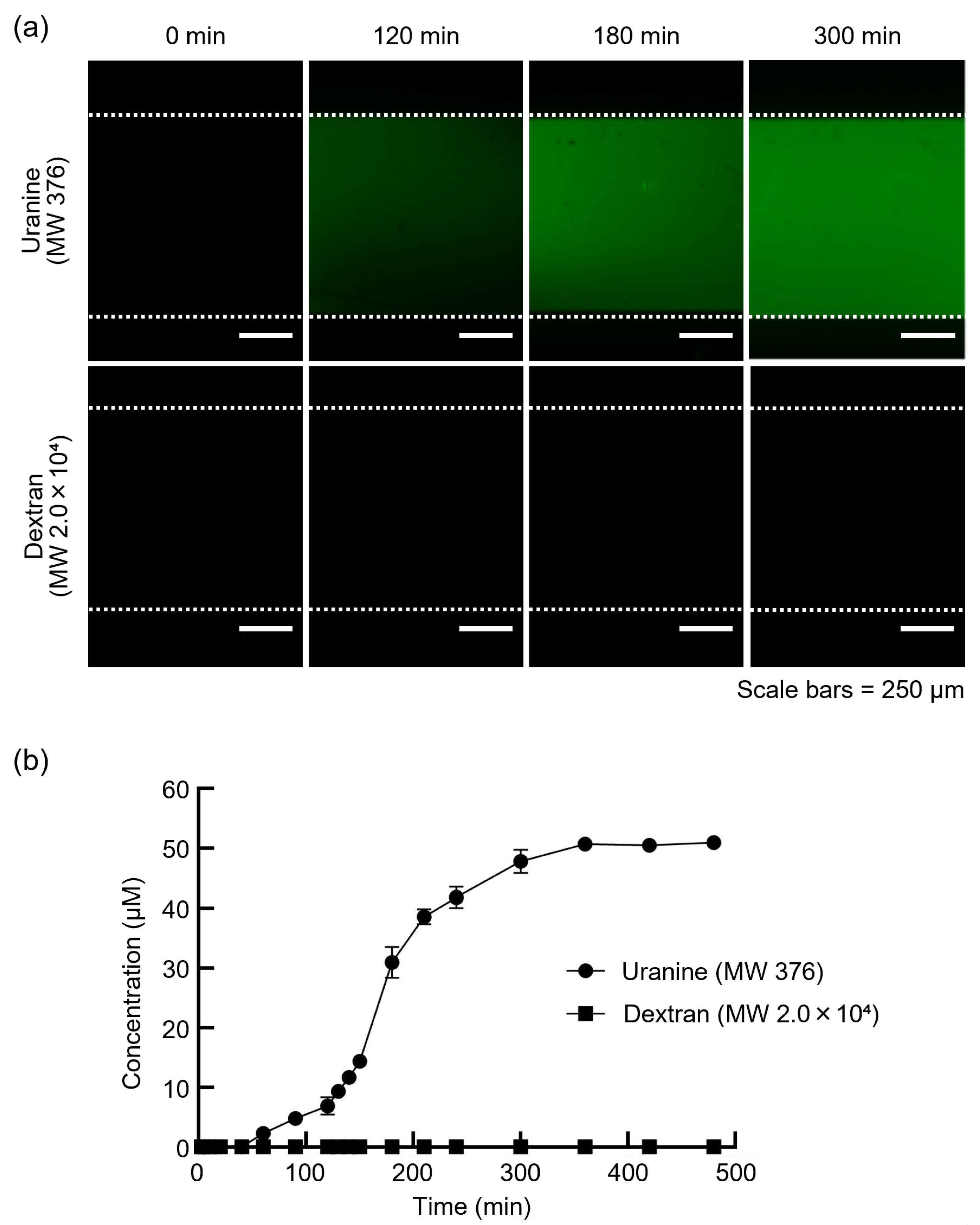 Micromachines 16 00745 g002