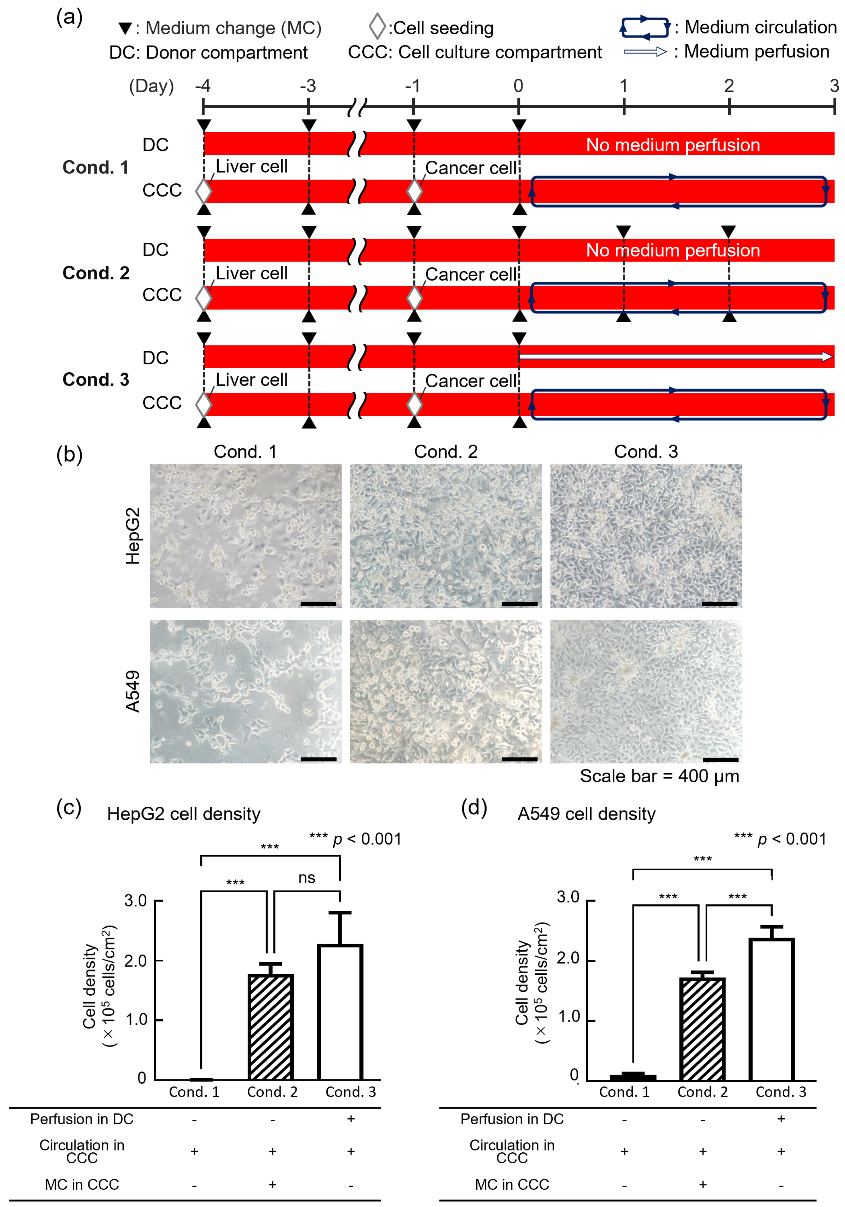 Micromachines 16 00745 g003