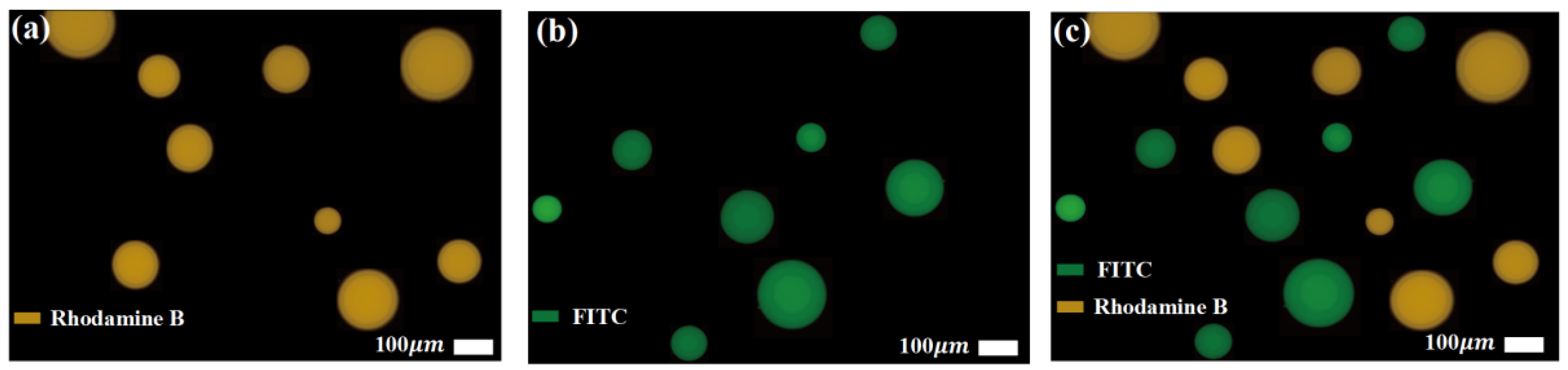 Micromachines 16 00774 g016