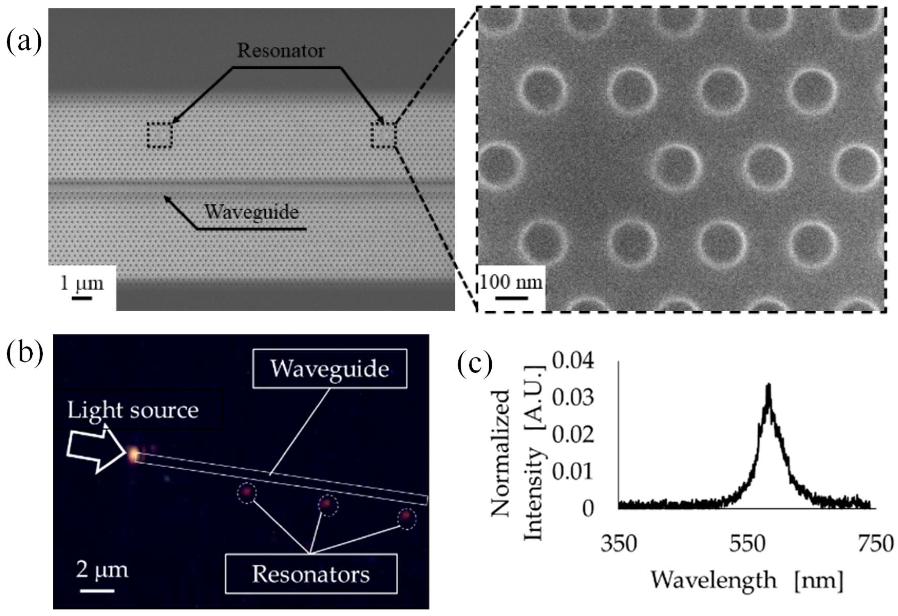 Micromachines 16 00813 g007