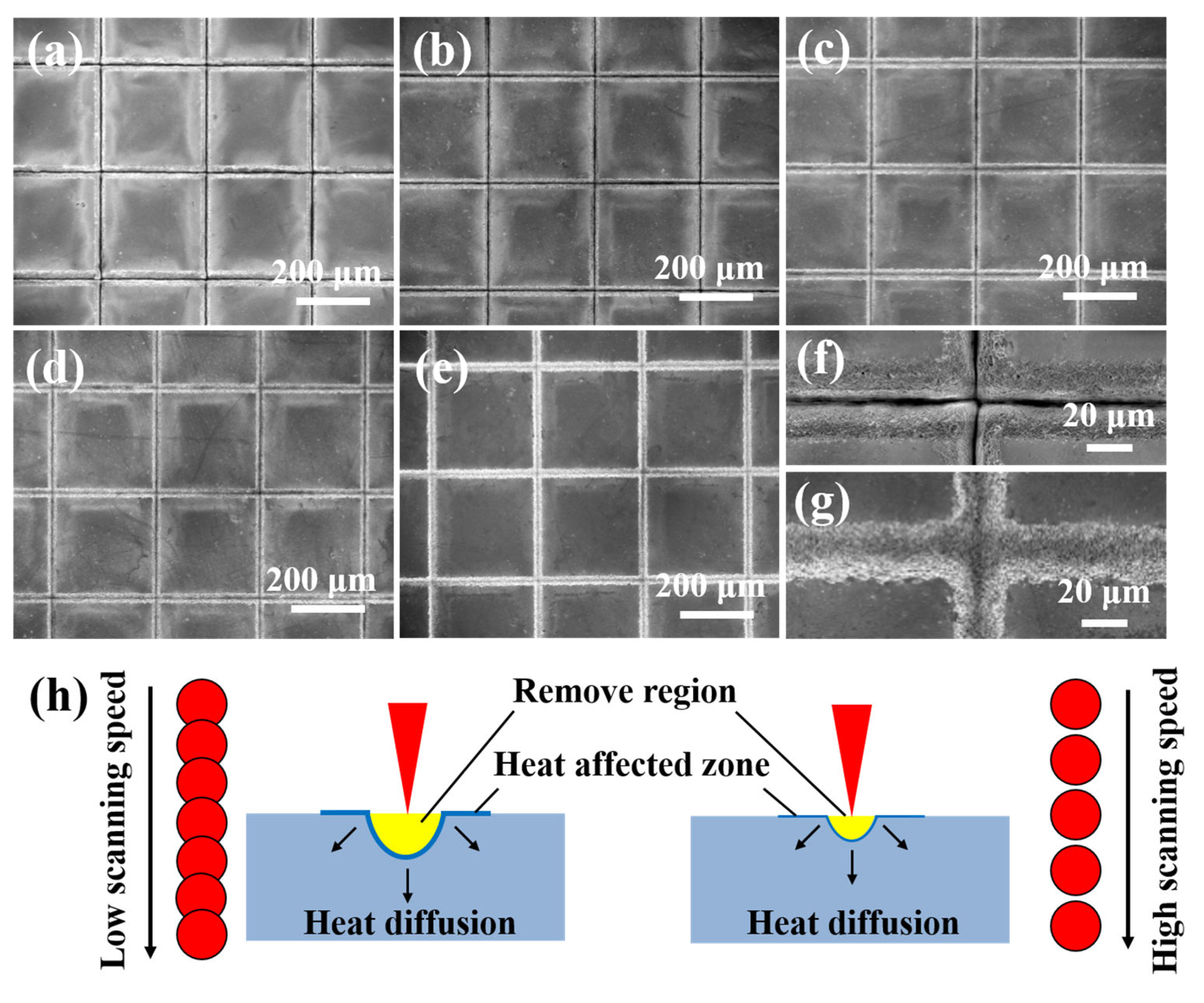 Micromachines 16 00819 g002