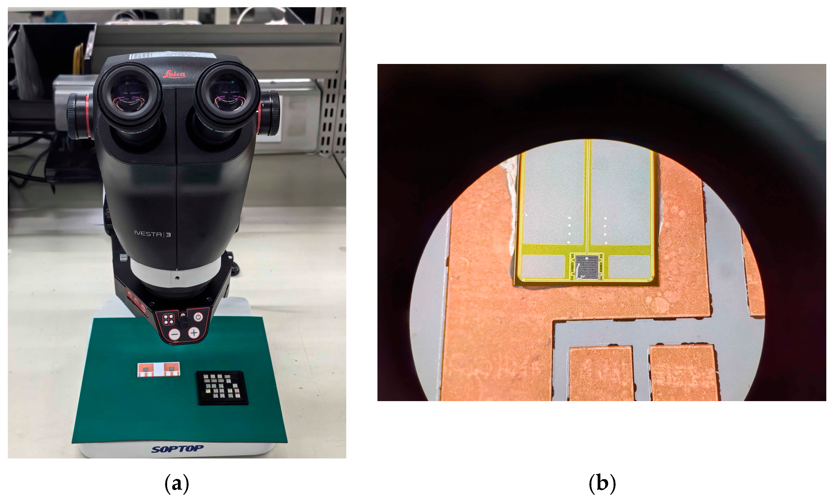 Micromachines 16 00824 g011