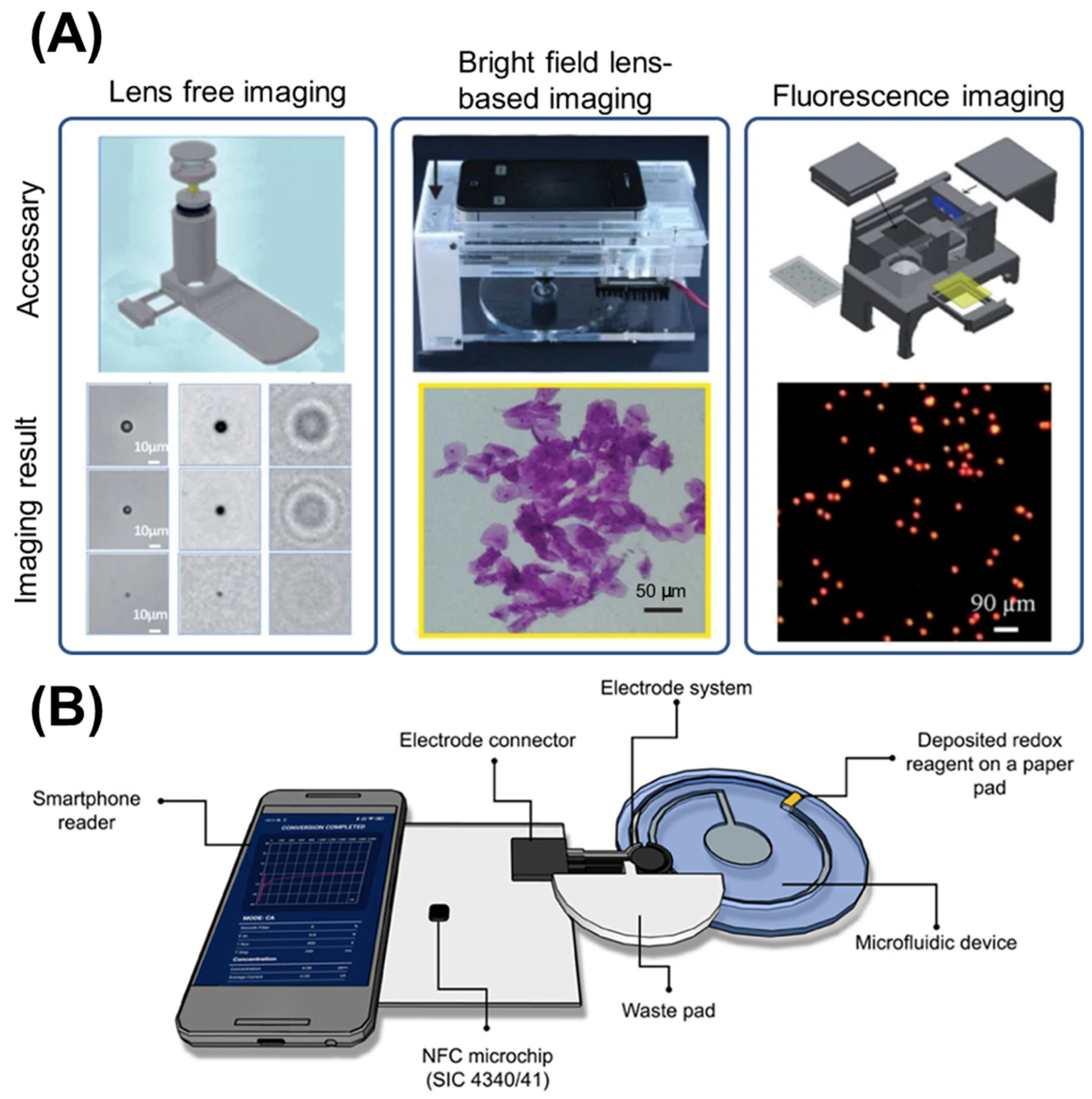 Micromachines 16 00835 g005