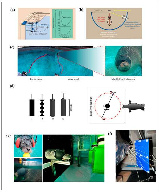 Micromachines 16 00870 g002