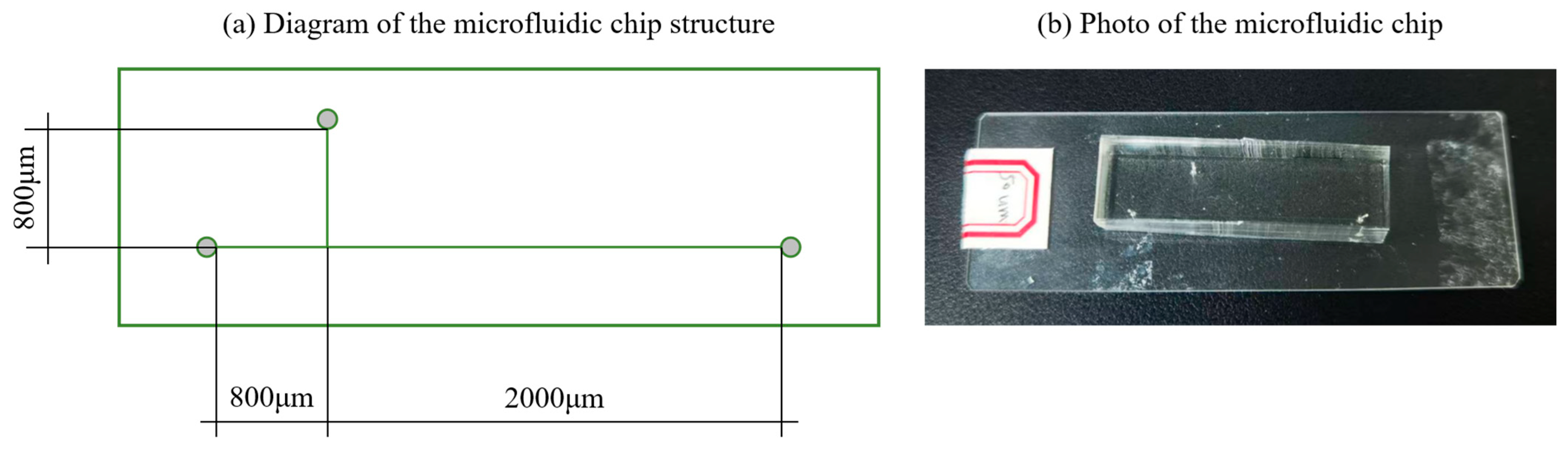 Micromachines 16 01011 g001
