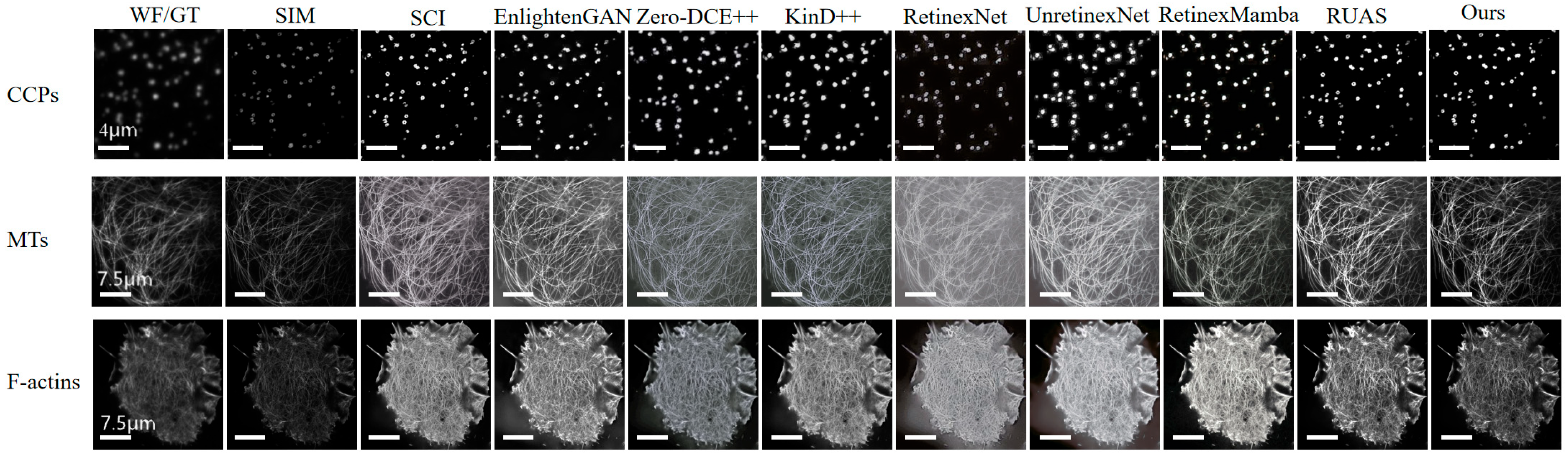 Micromachines 16 01020 g006