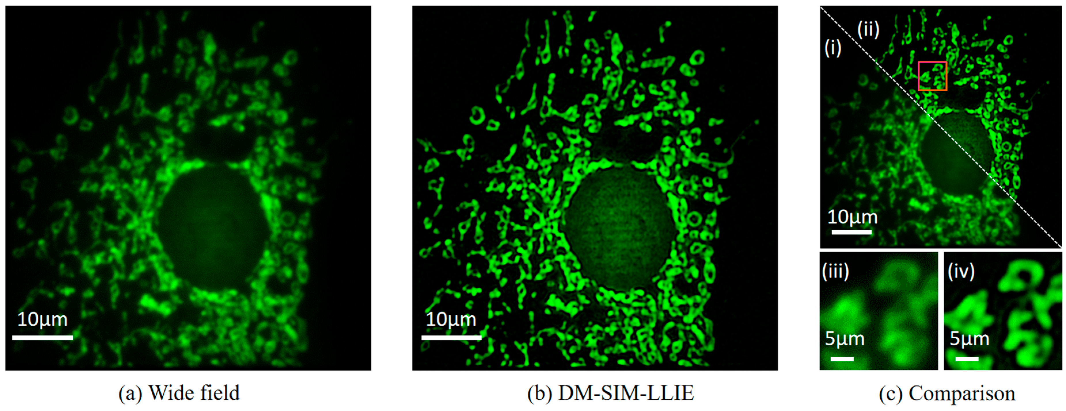 Micromachines 16 01020 g007