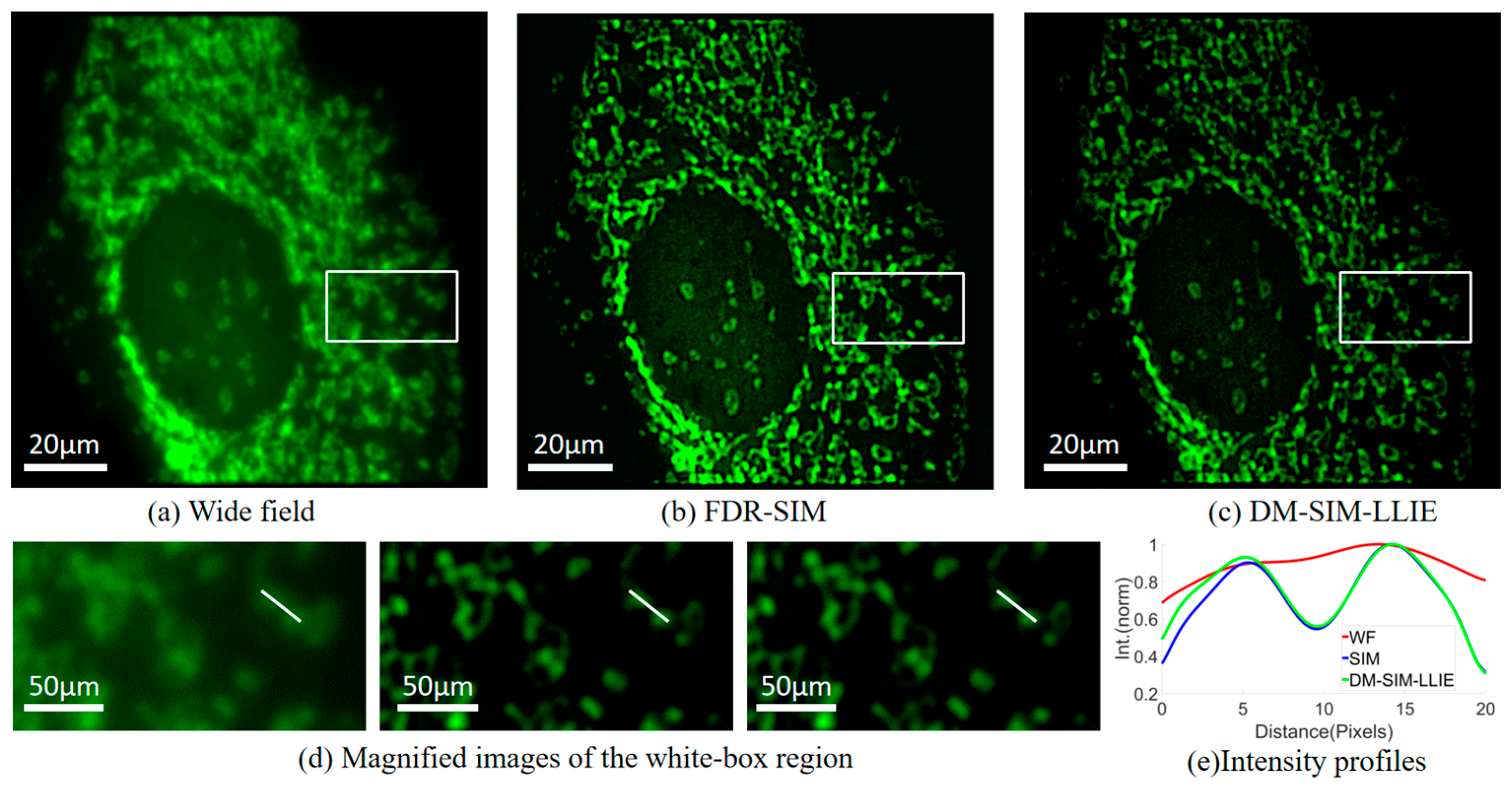 Micromachines 16 01020 g008