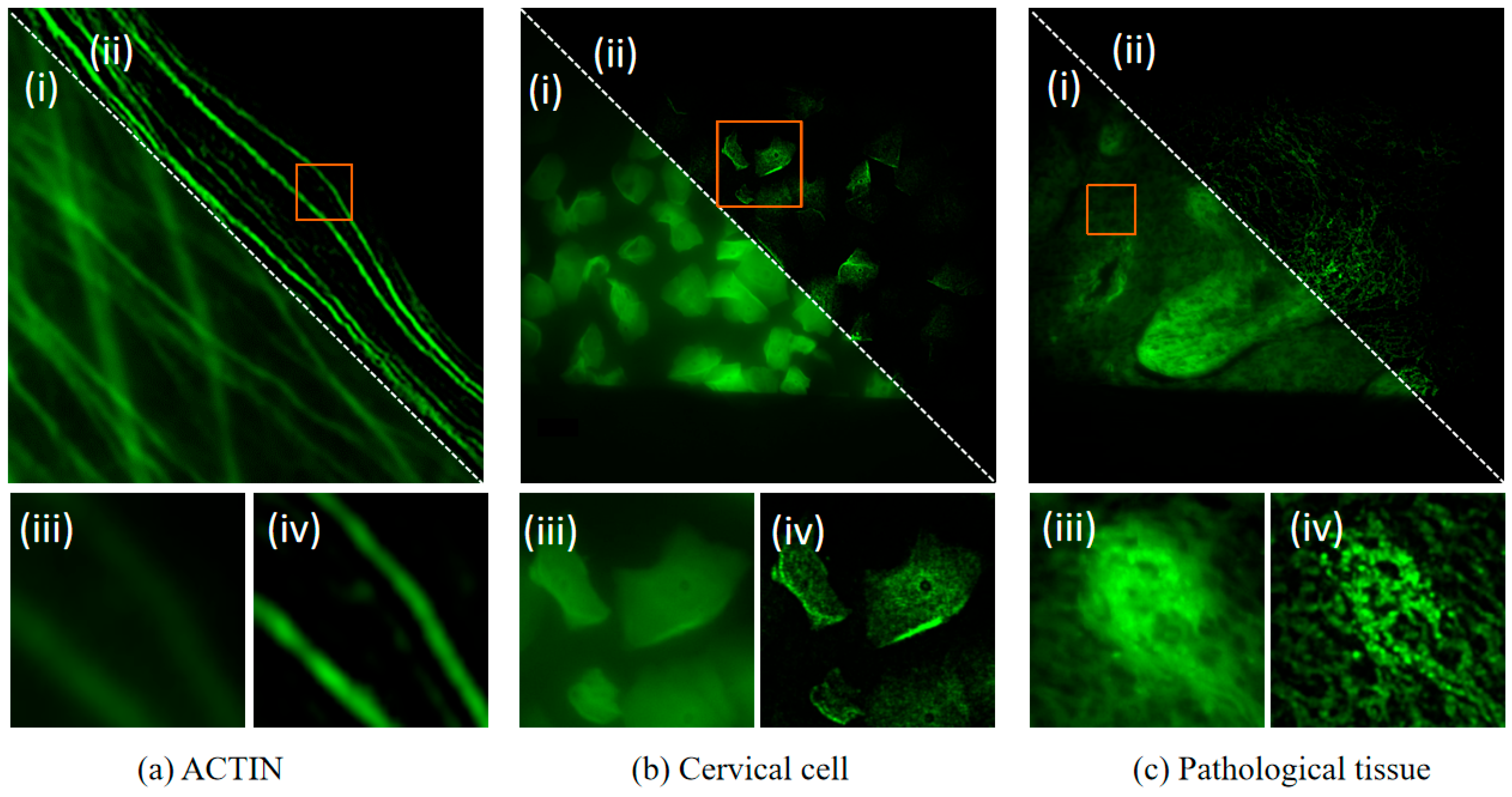 Micromachines 16 01020 g010