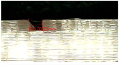 Micromachines 16 01079 i002