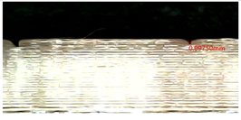 Micromachines 16 01079 i003