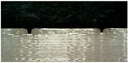 Micromachines 16 01079 i009