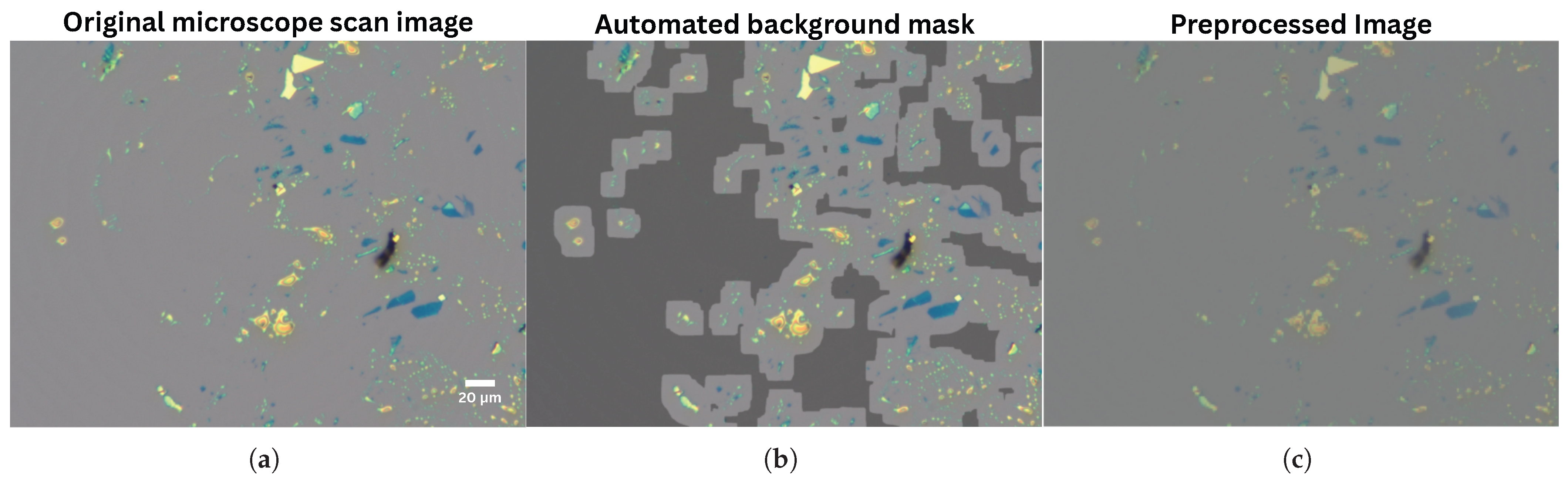 Micromachines 16 01084 g002