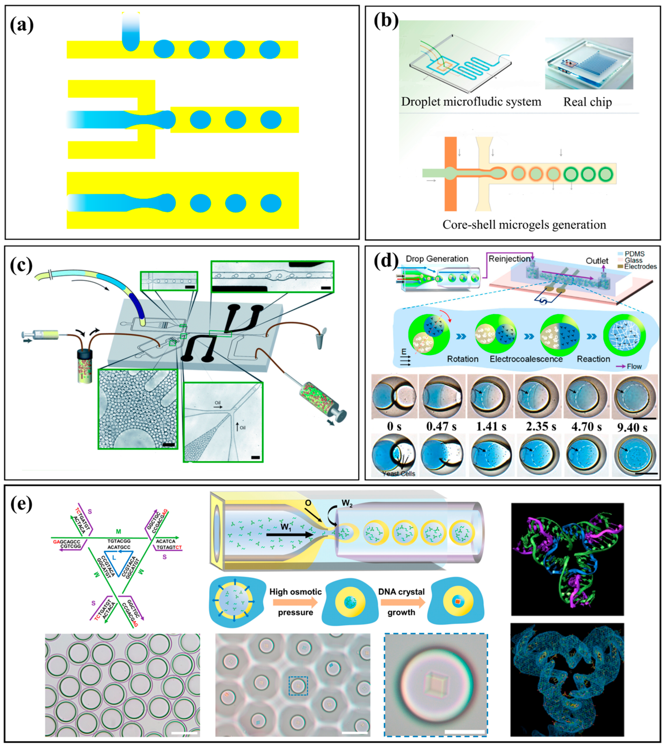 Micromachines 16 01106 g001