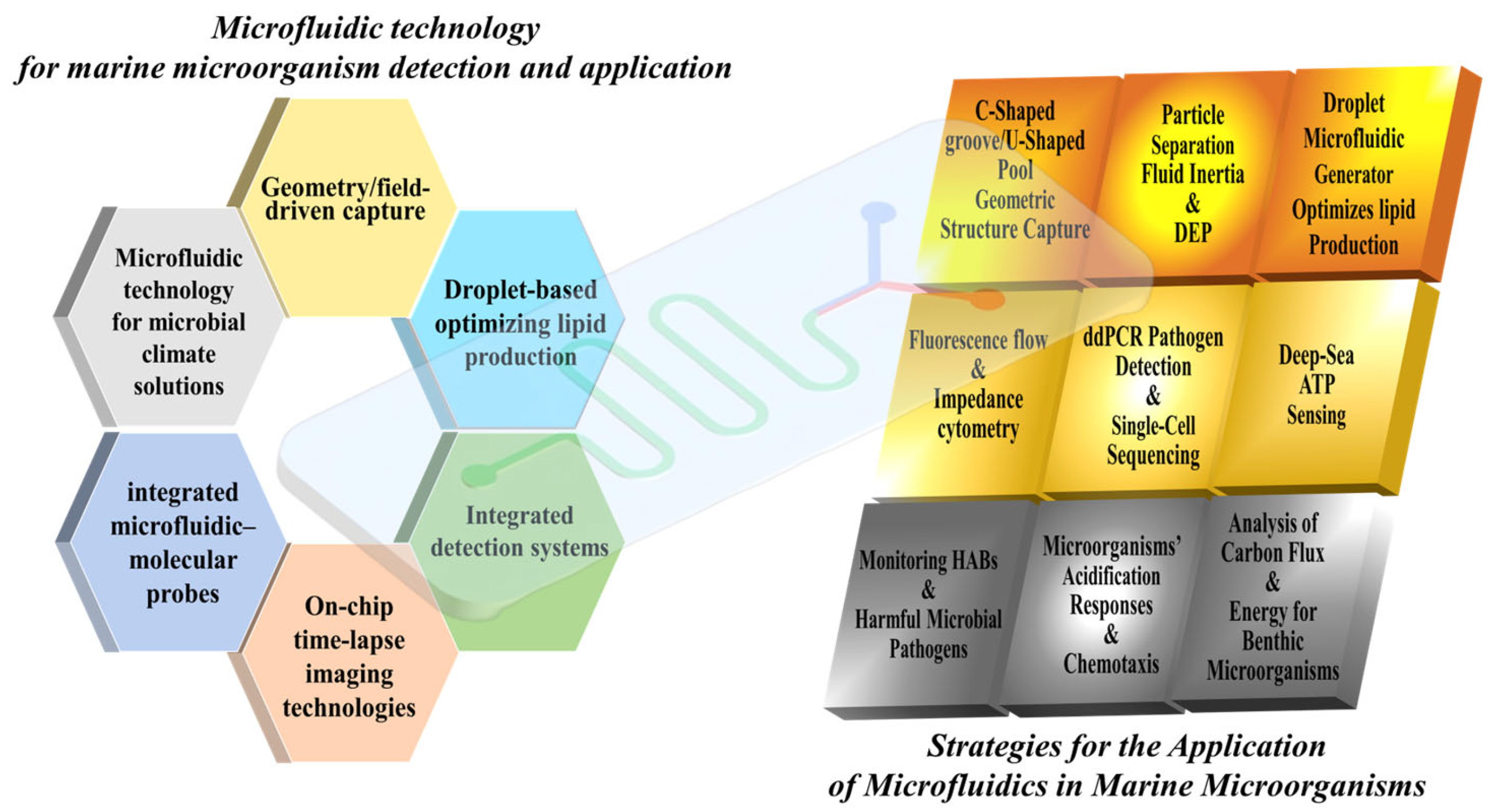 Micromachines 16 01115 g001