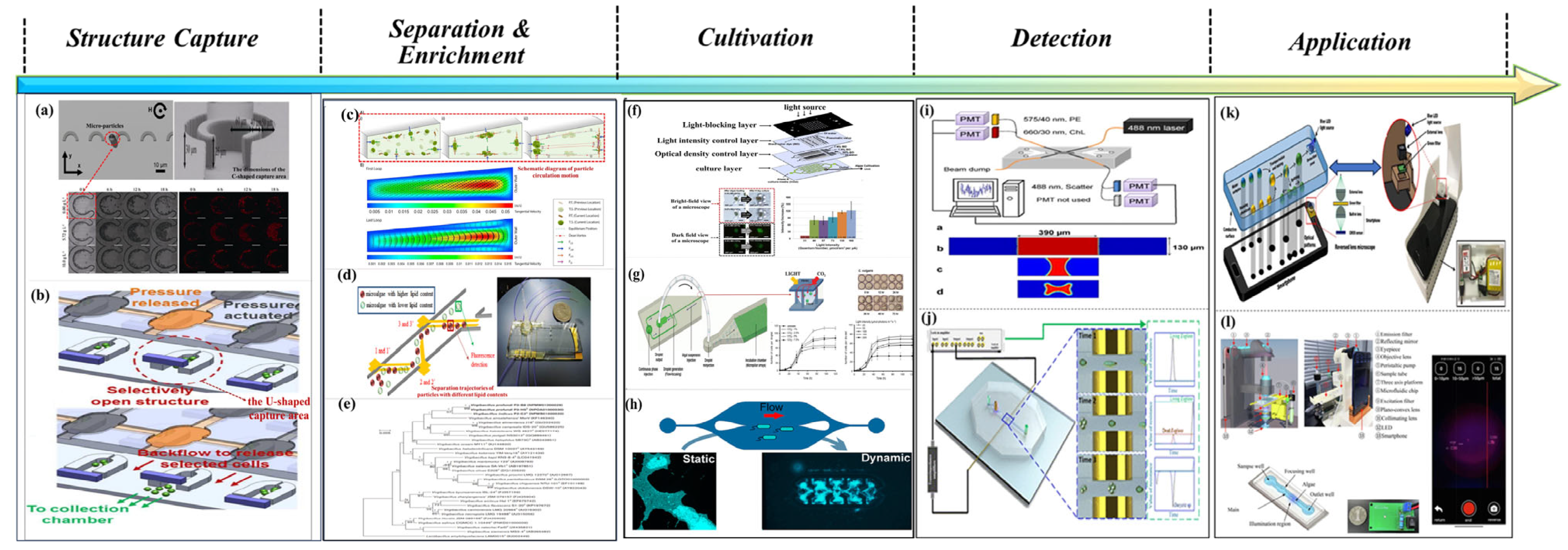 Micromachines 16 01115 g002