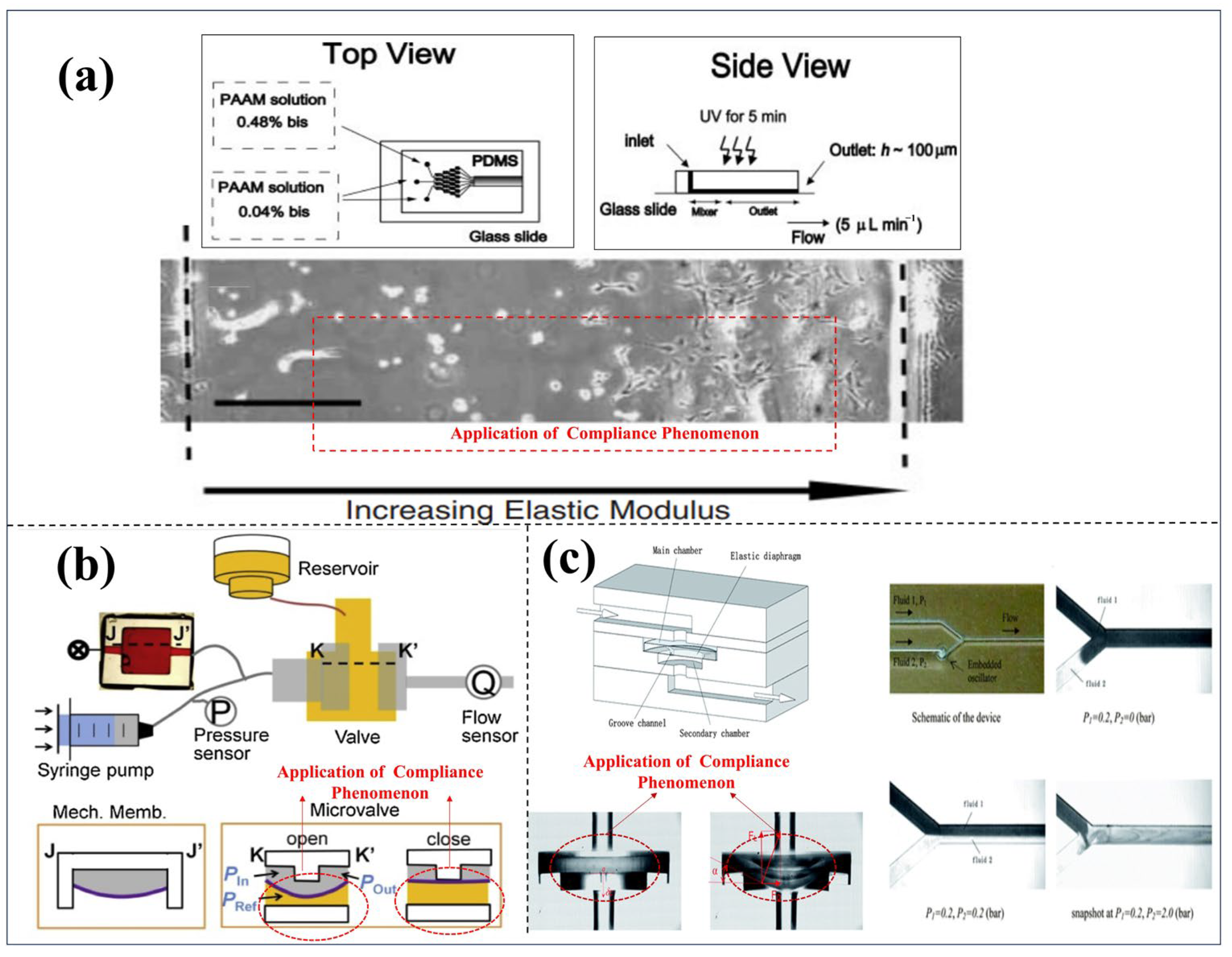 Micromachines 16 01115 g006