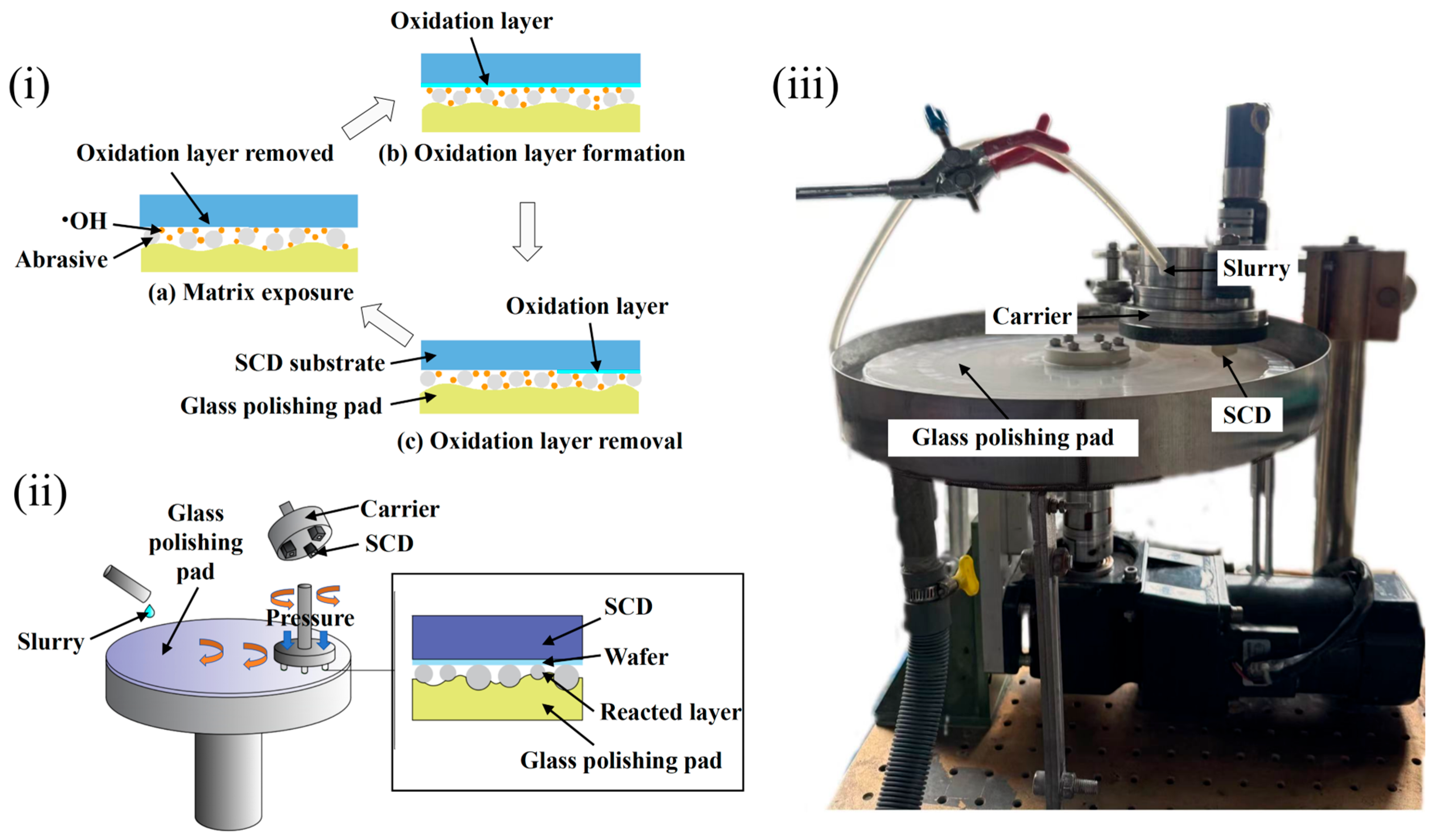 Micromachines 16 01121 g001